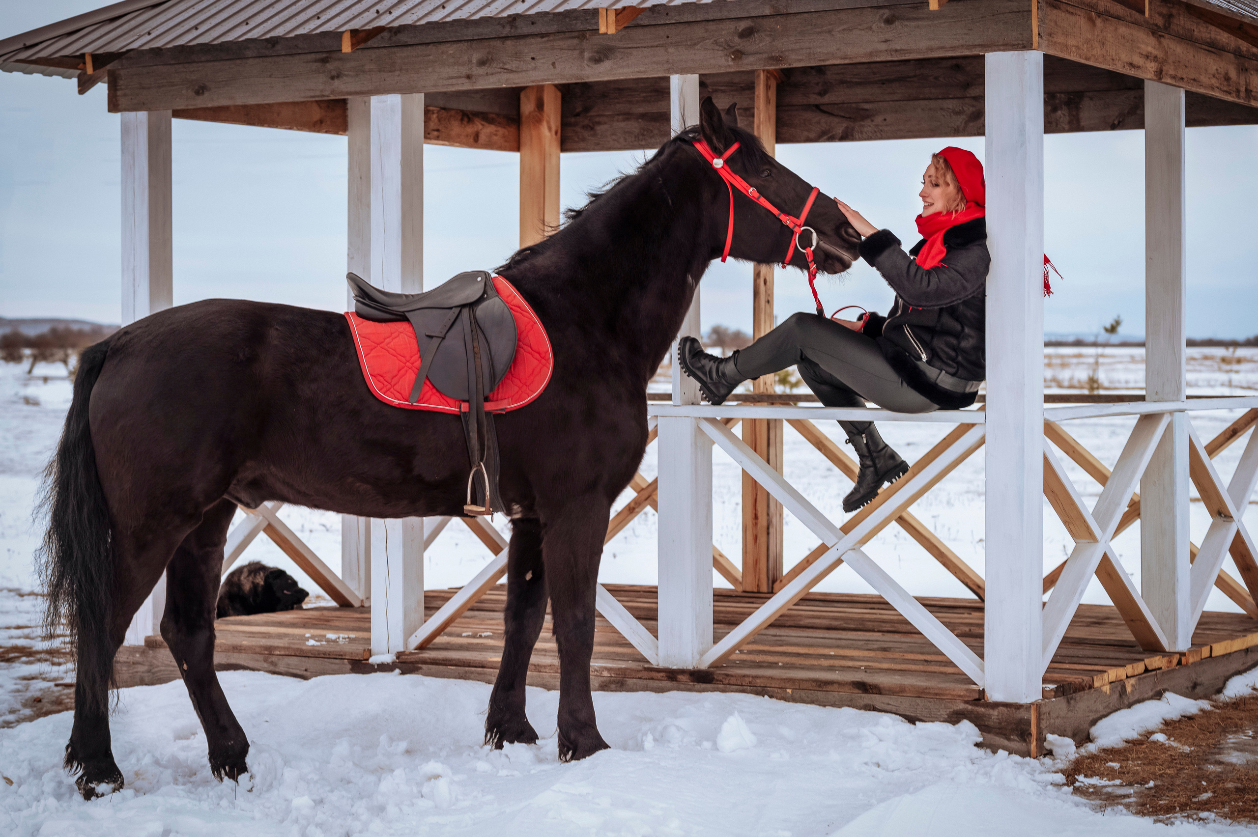 Любовь и лошади. Семейный и детский фотограф в Канске и Канском р-не, Красноярск и