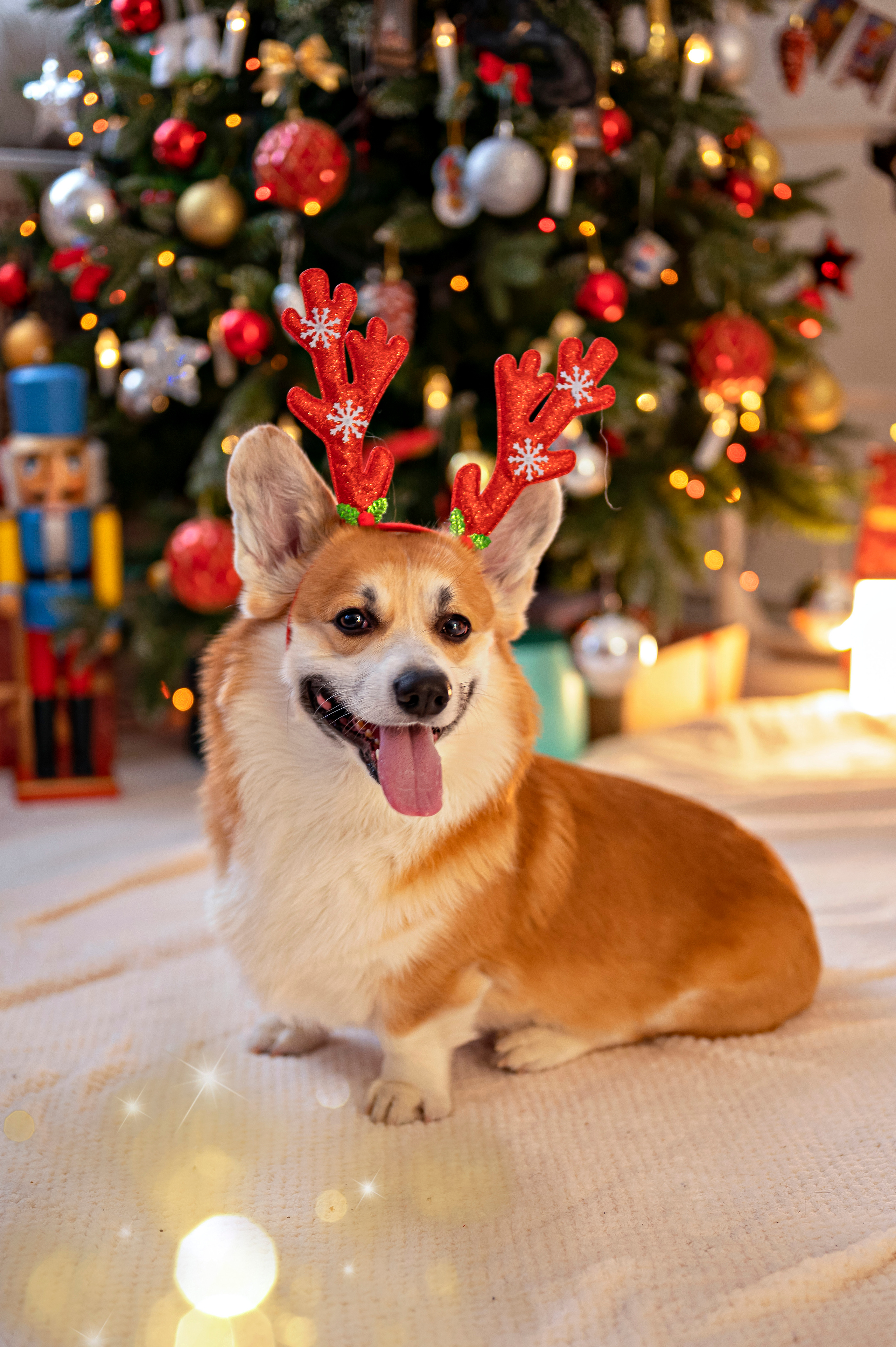 Heppi. Семейный и детский фотограф в Канске и Канском р-не, Красноярск и