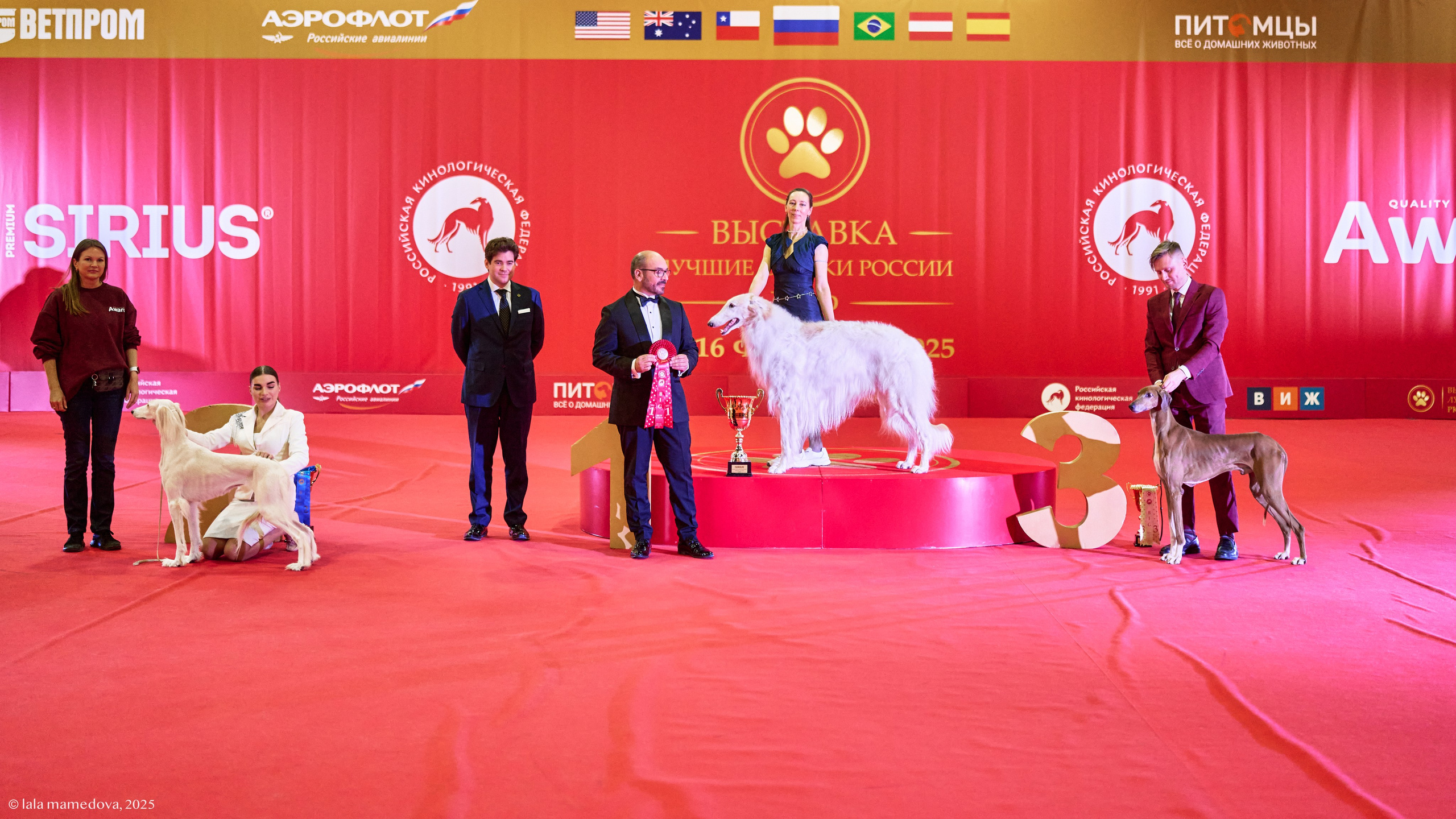 ЛУЧШИЕ СОБАКИ РОССИИ РКФ 2025