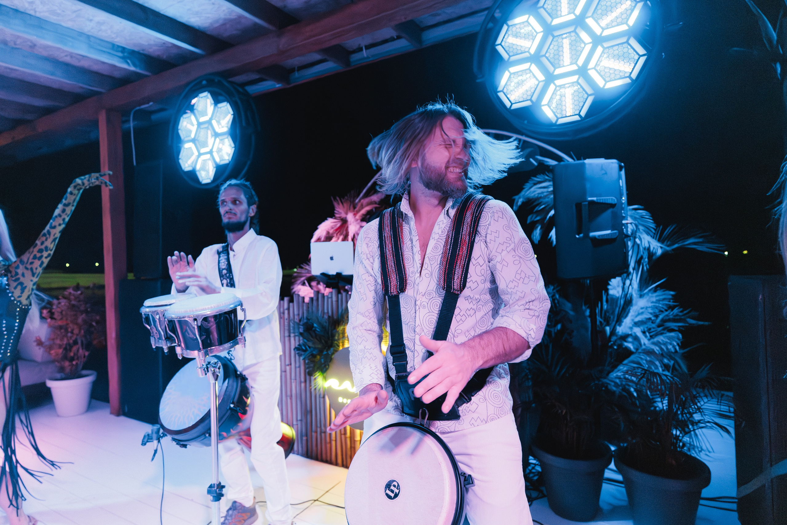 31.05.2025 TROPICAL DISCO BIRTHDAY PARTY. ProVizArt