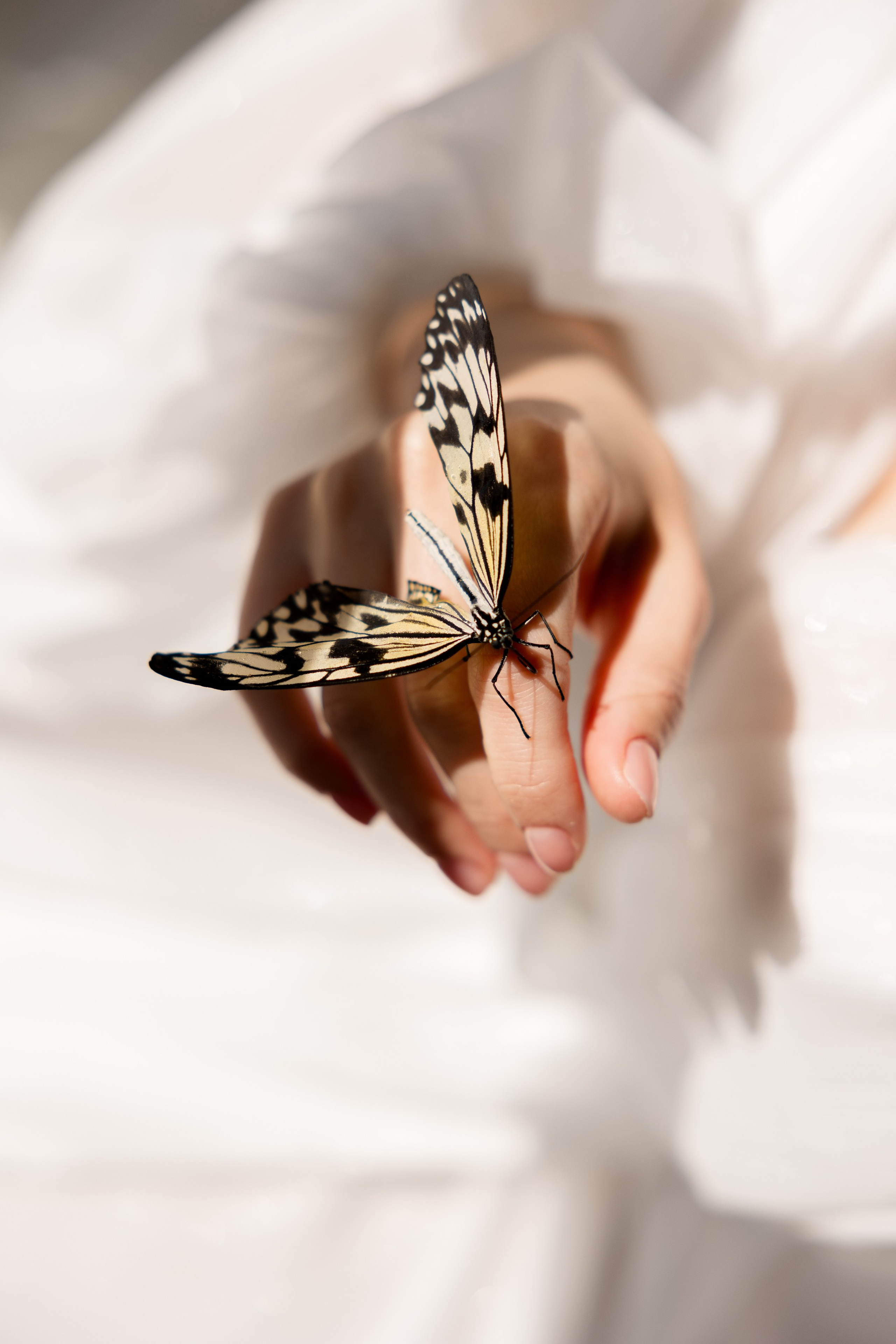 Butterfly Love. Михаил и Анна. Свадебный и семейный фотограф Евгения Привалова. Новороссийск. Анапа