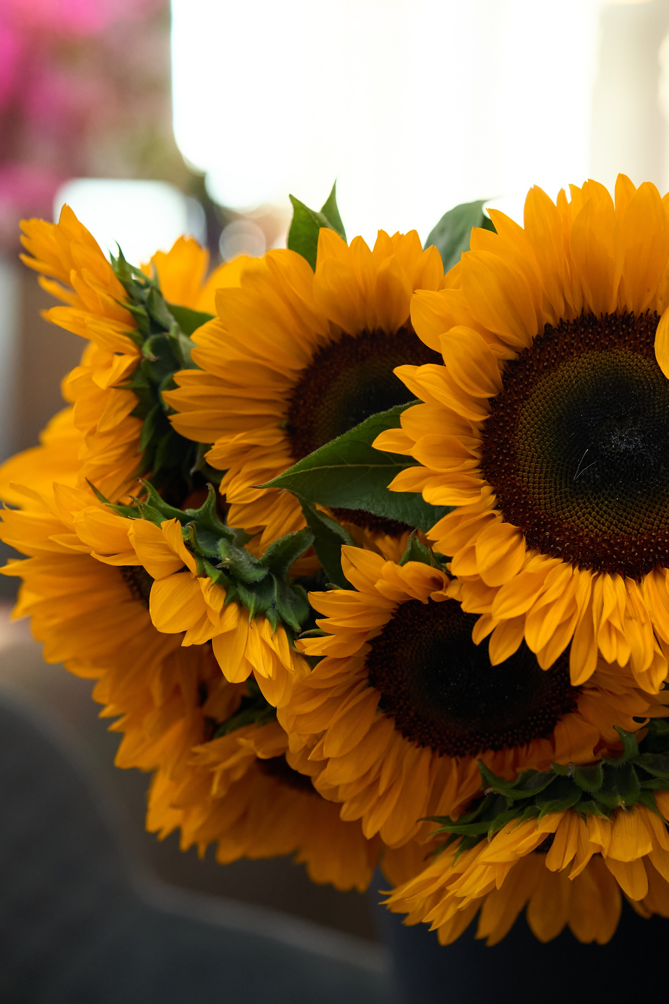 День Рождения Ольги. Елизавета Мальгина, фотограф в Москве