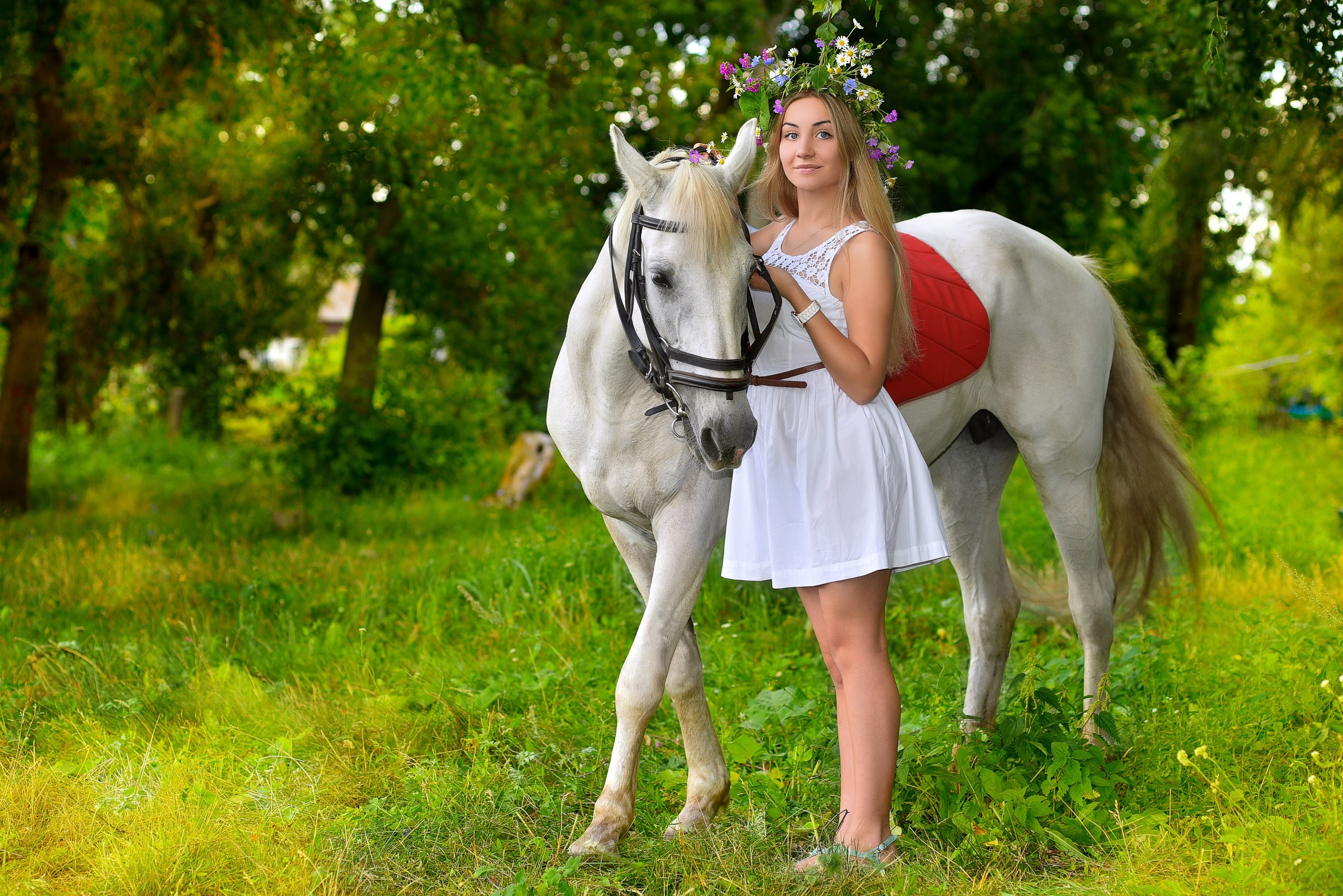 Индивидуальные. Фотограф-видеограф в Димитровграде и Ульяновске Герман Наумов