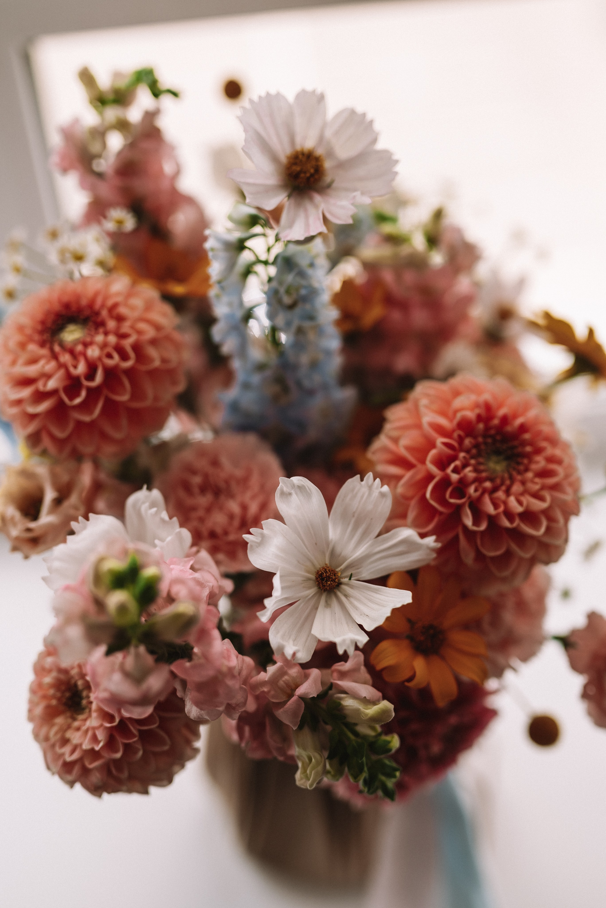 Кристина + Дмитрий. Свадебный и семейный фотограф в Волгограде Олеся Лисицкая