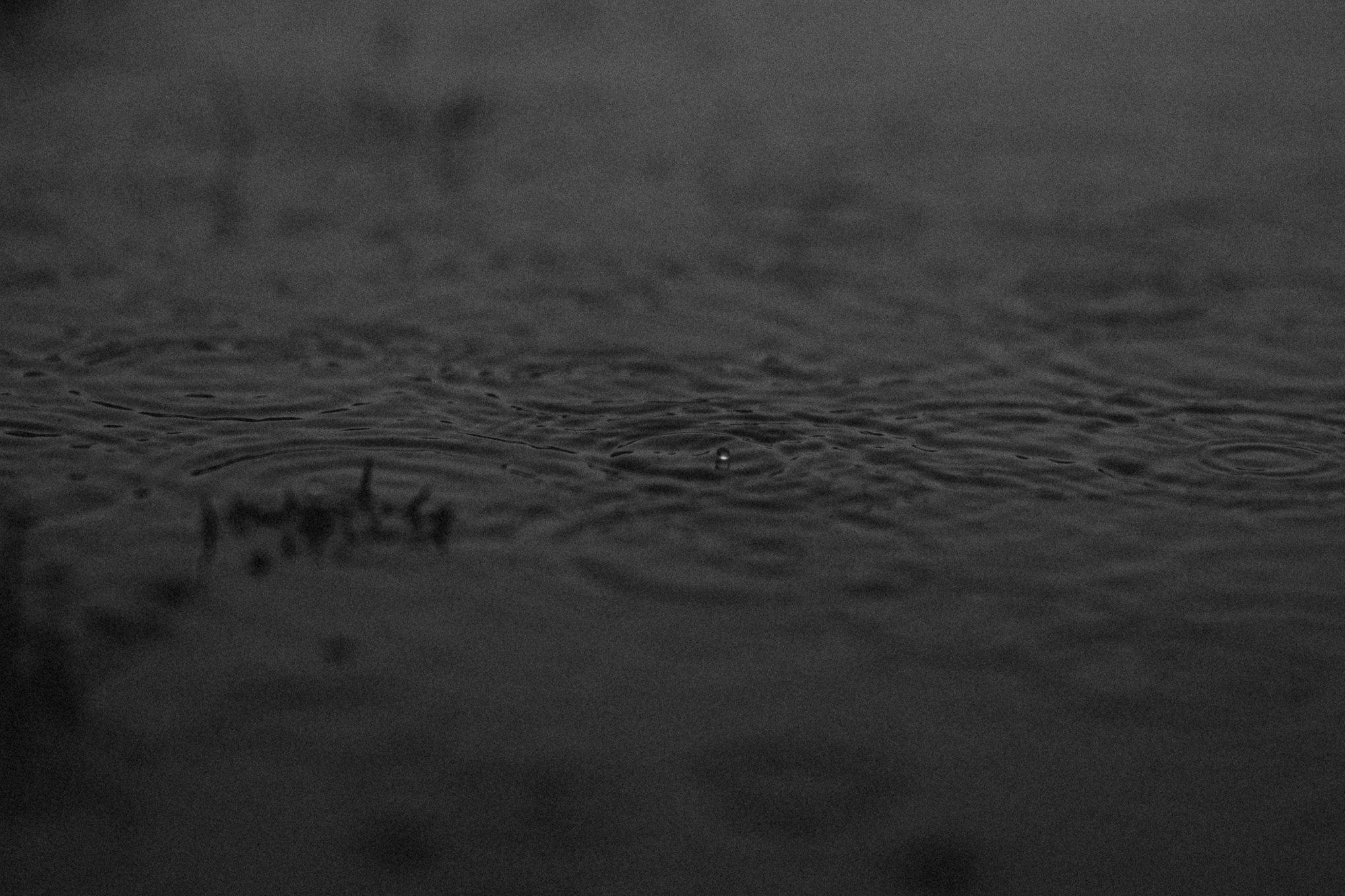 Чёрно-белая фотосессия в дождь