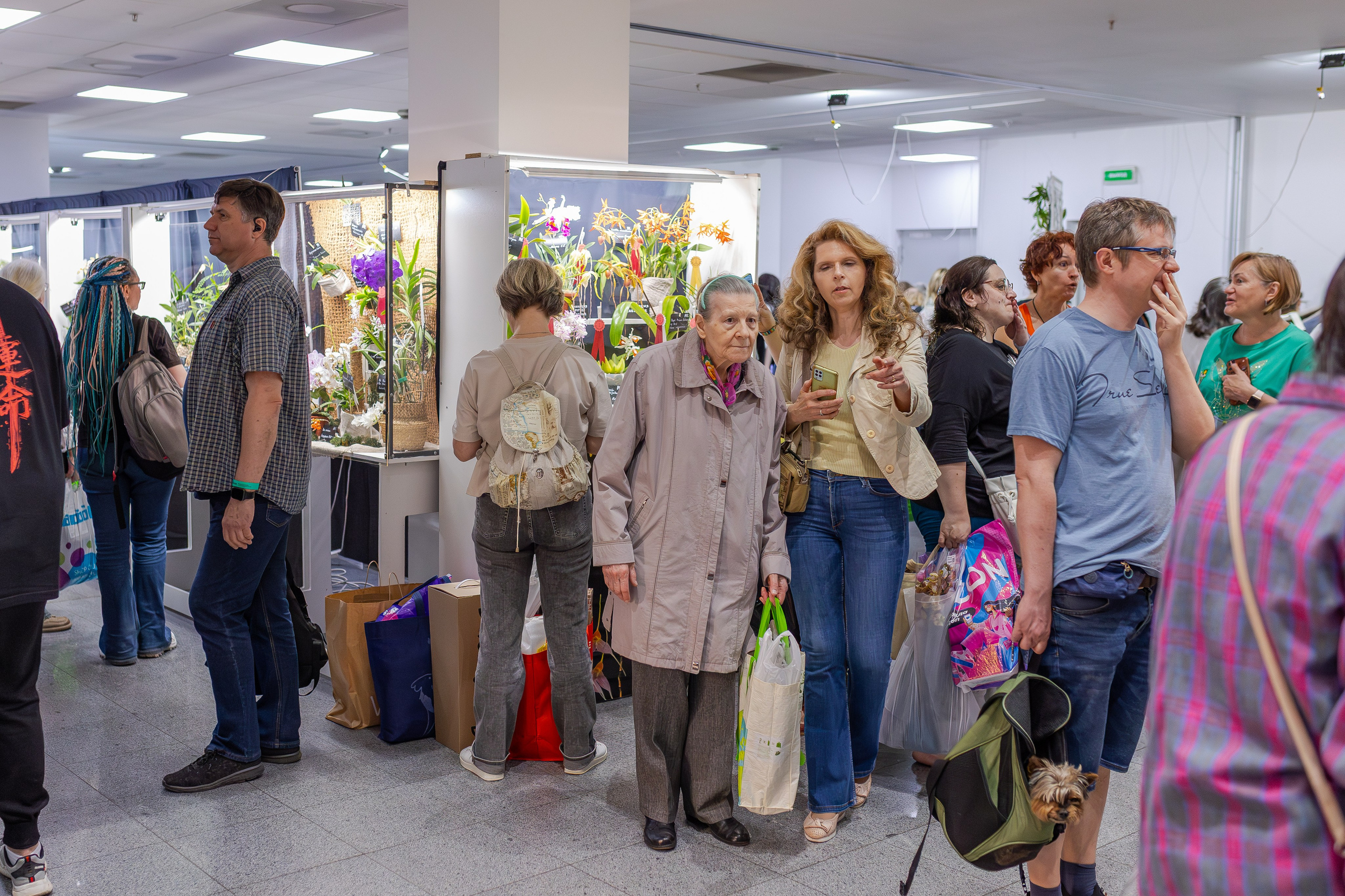 Орхидиум май 2026. Александра Куликова фотограф, Москва