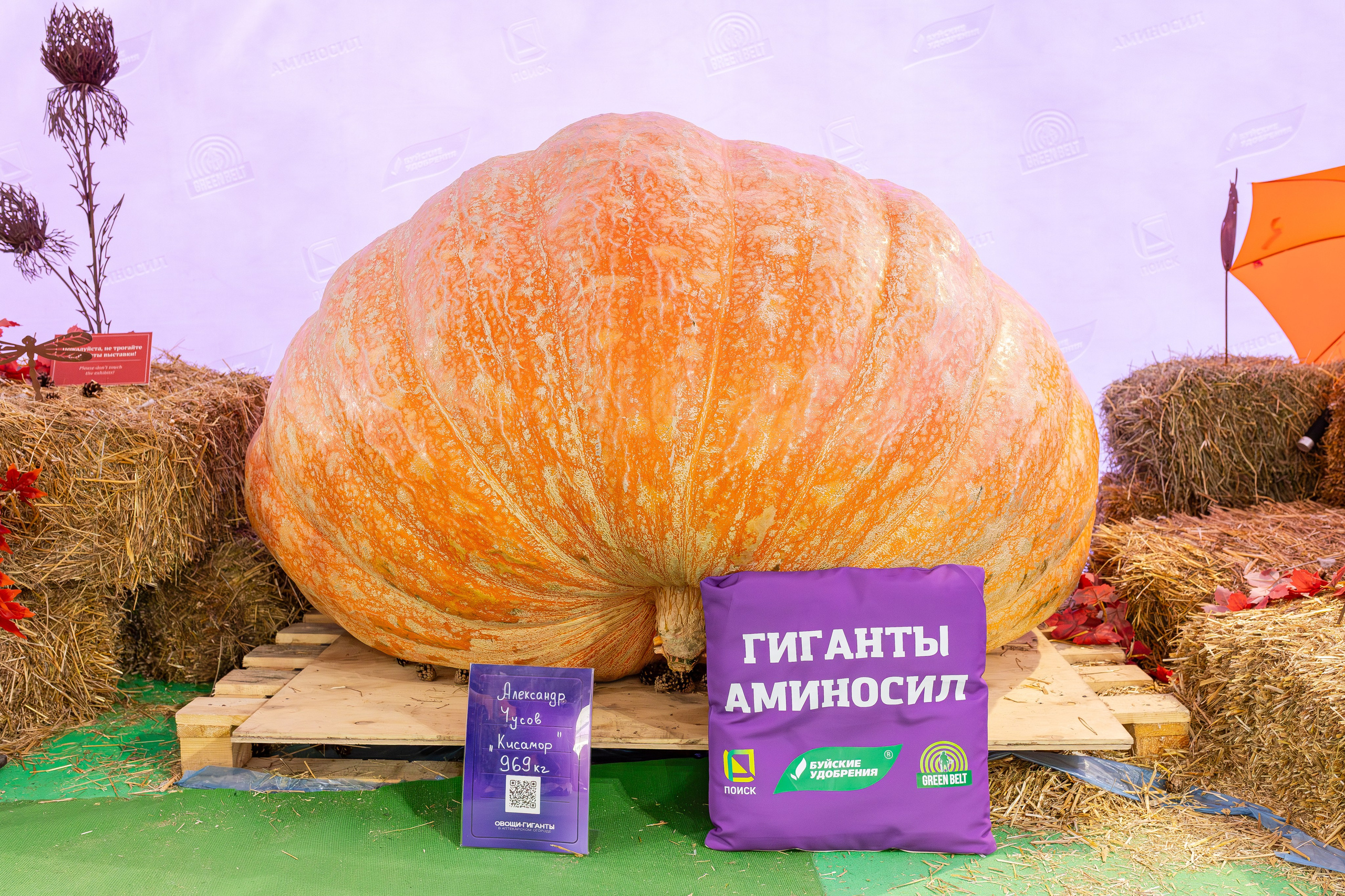 Овощи-гиганты. Александра Куликова фотограф, Москва