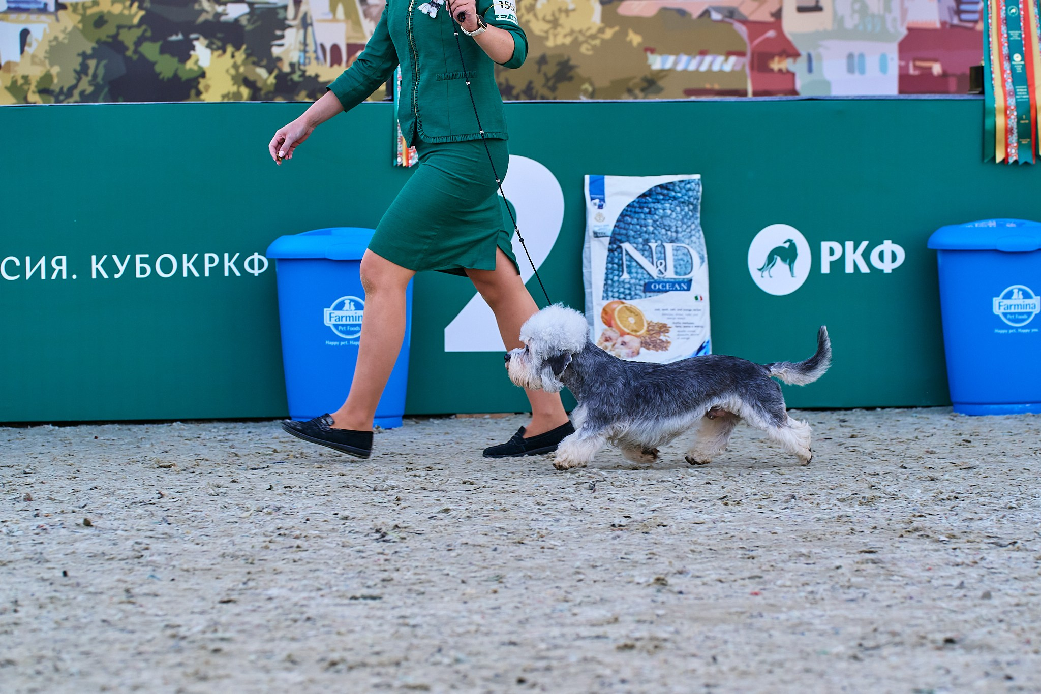 08.06.2024 «РОССИЯ. КУБОК РКФ 2024»
