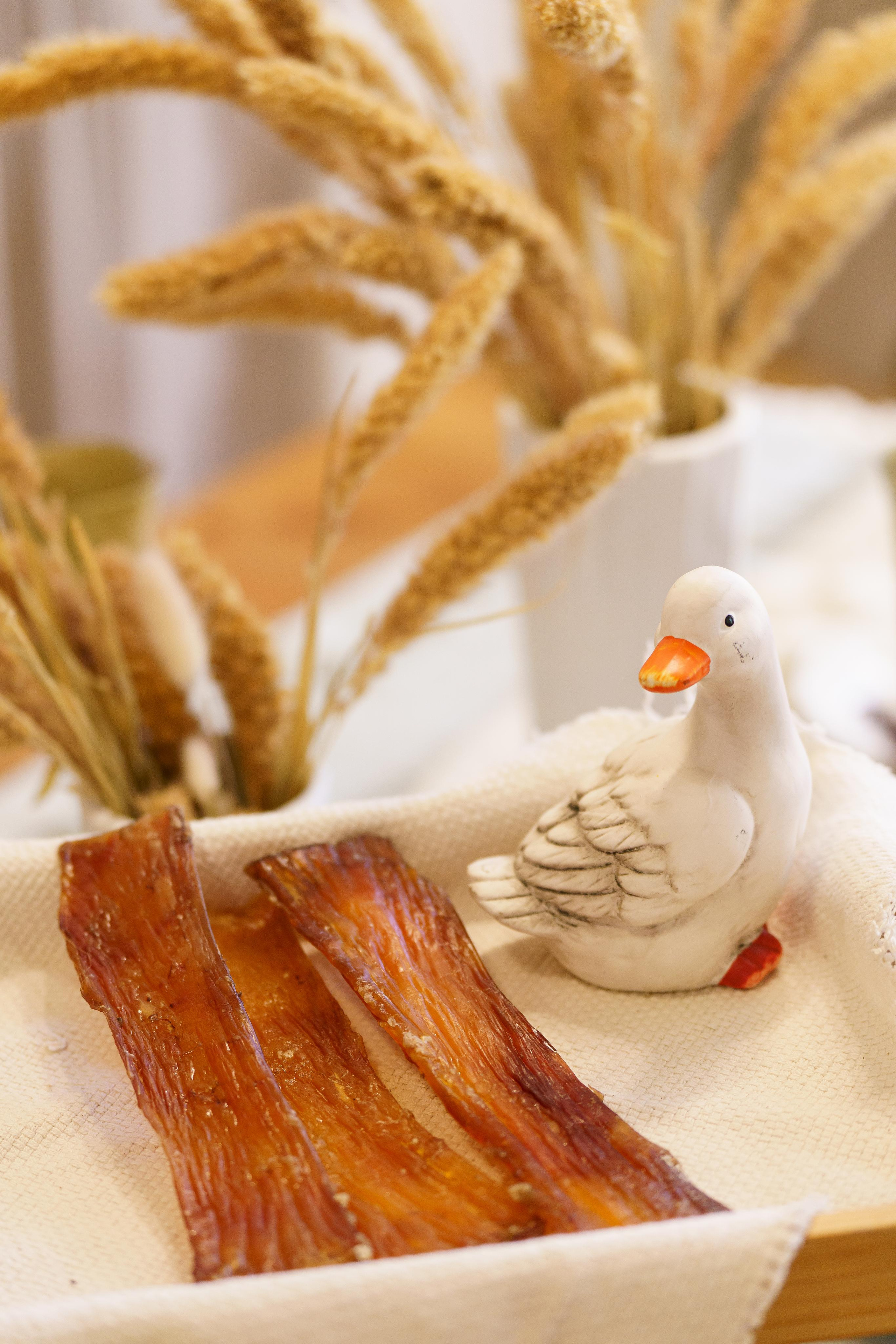 Лакомства для собак. Фотограф-анималист в Санкт-Петербурге