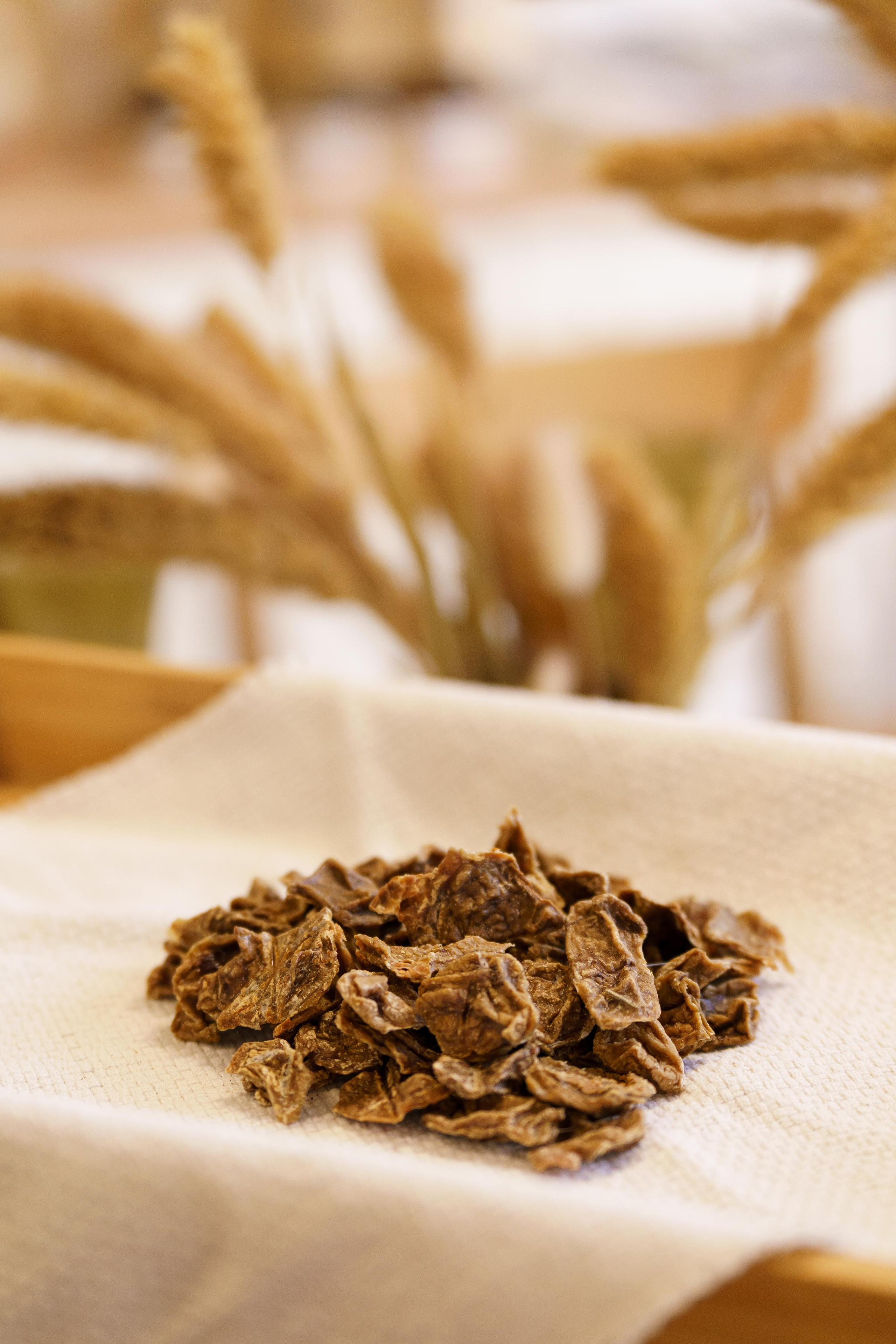 Лакомства для собак. Фотограф-анималист в Санкт-Петербурге