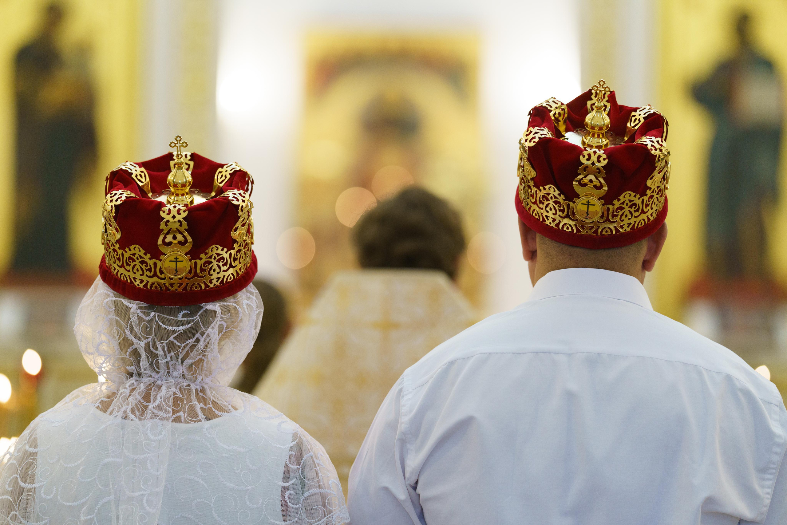 Венчание. Фотограф-анималист в Санкт-Петербурге