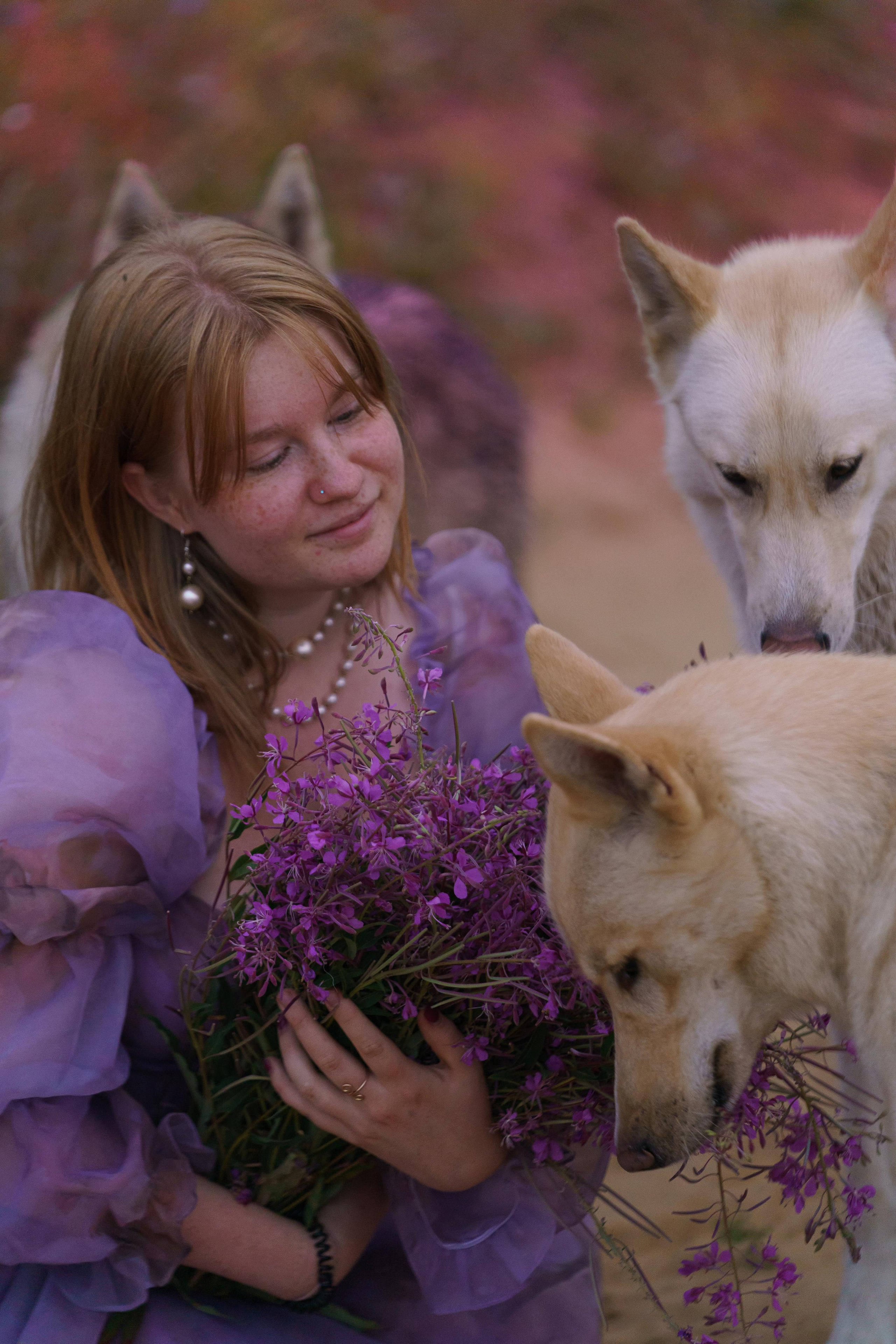 Клара и сибирские хаски. Фотограф-анималист в Санкт-Петербурге