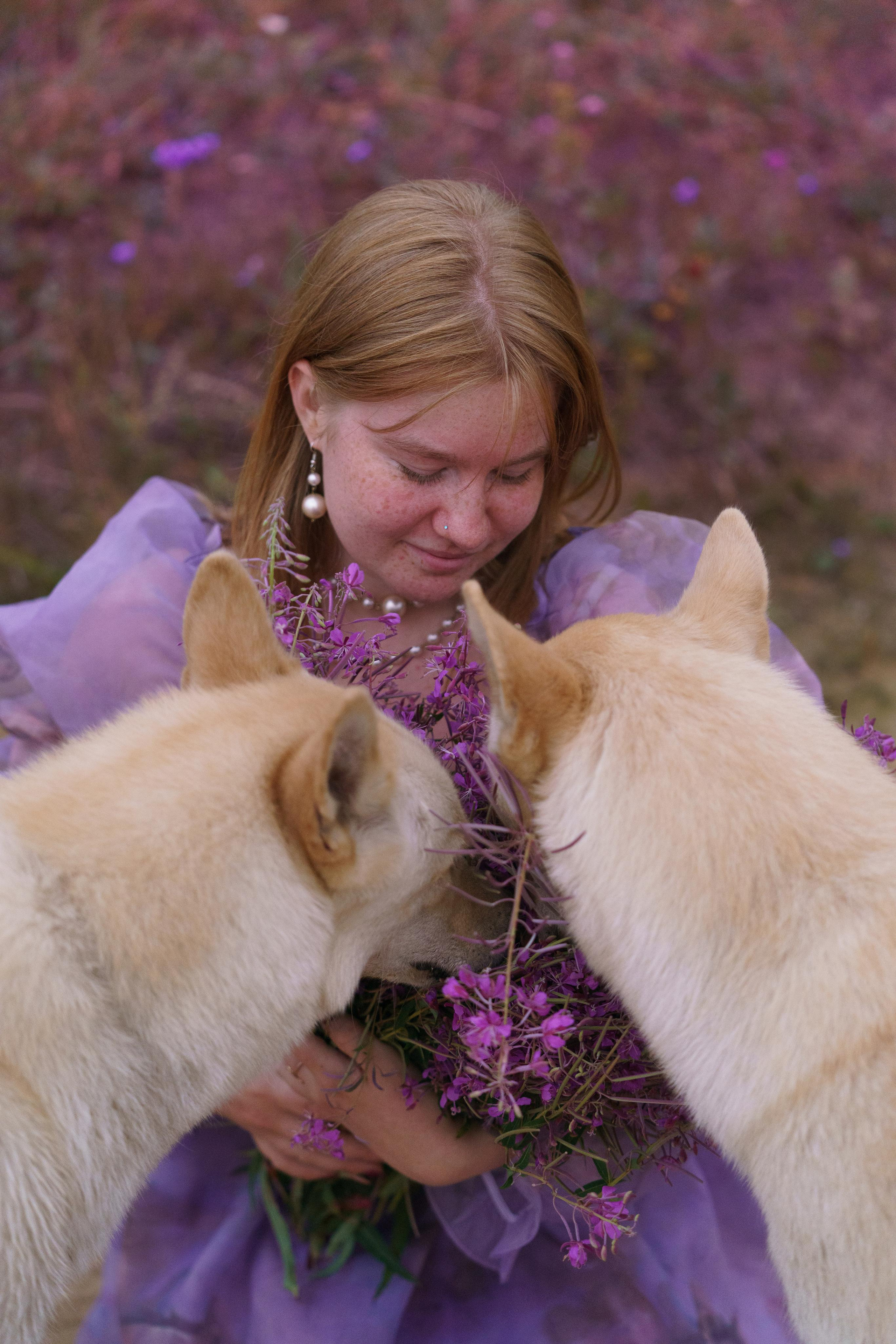 Клара и сибирские хаски. Фотограф-анималист в Санкт-Петербурге