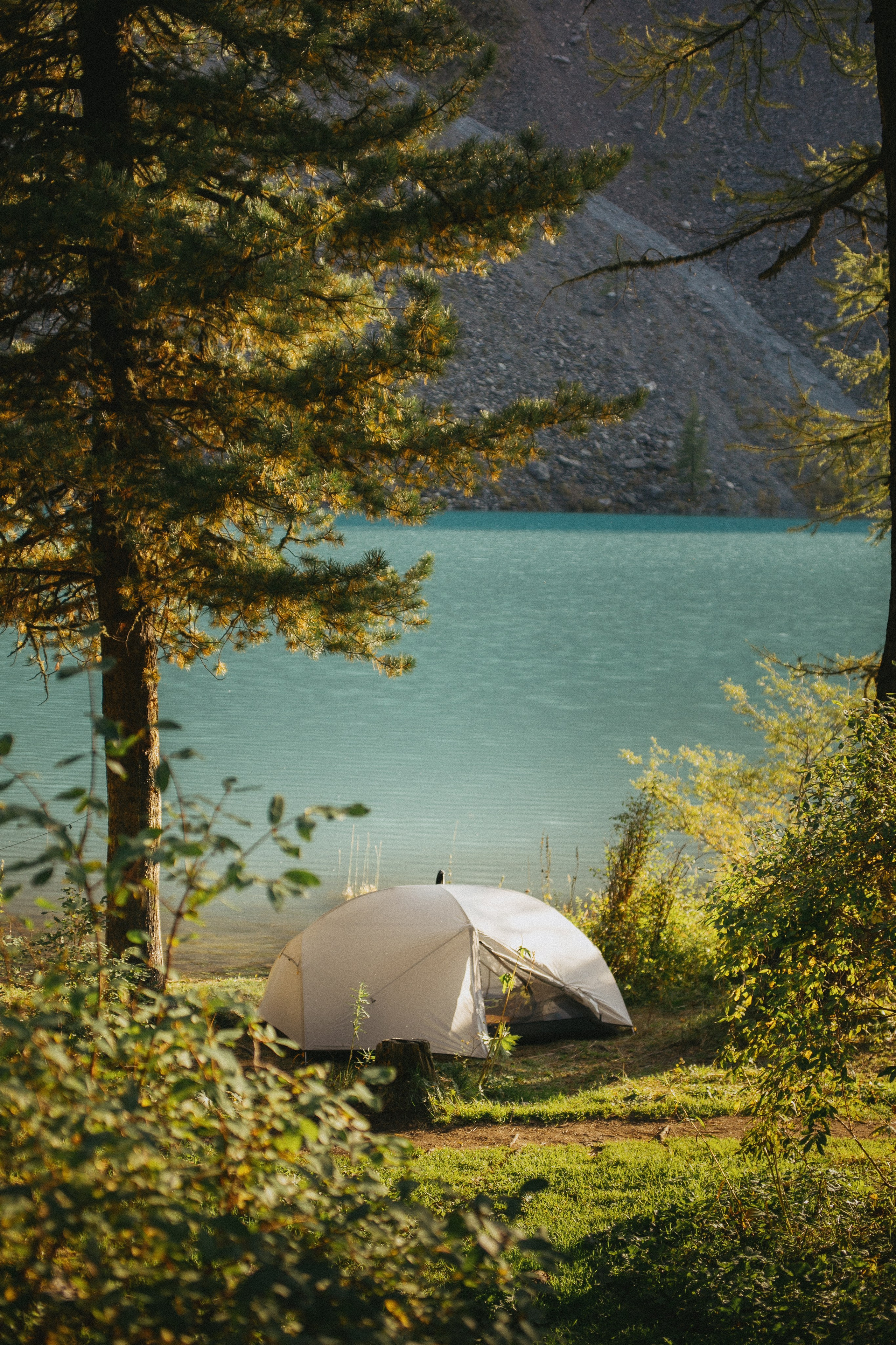 Шавлинские. Главная