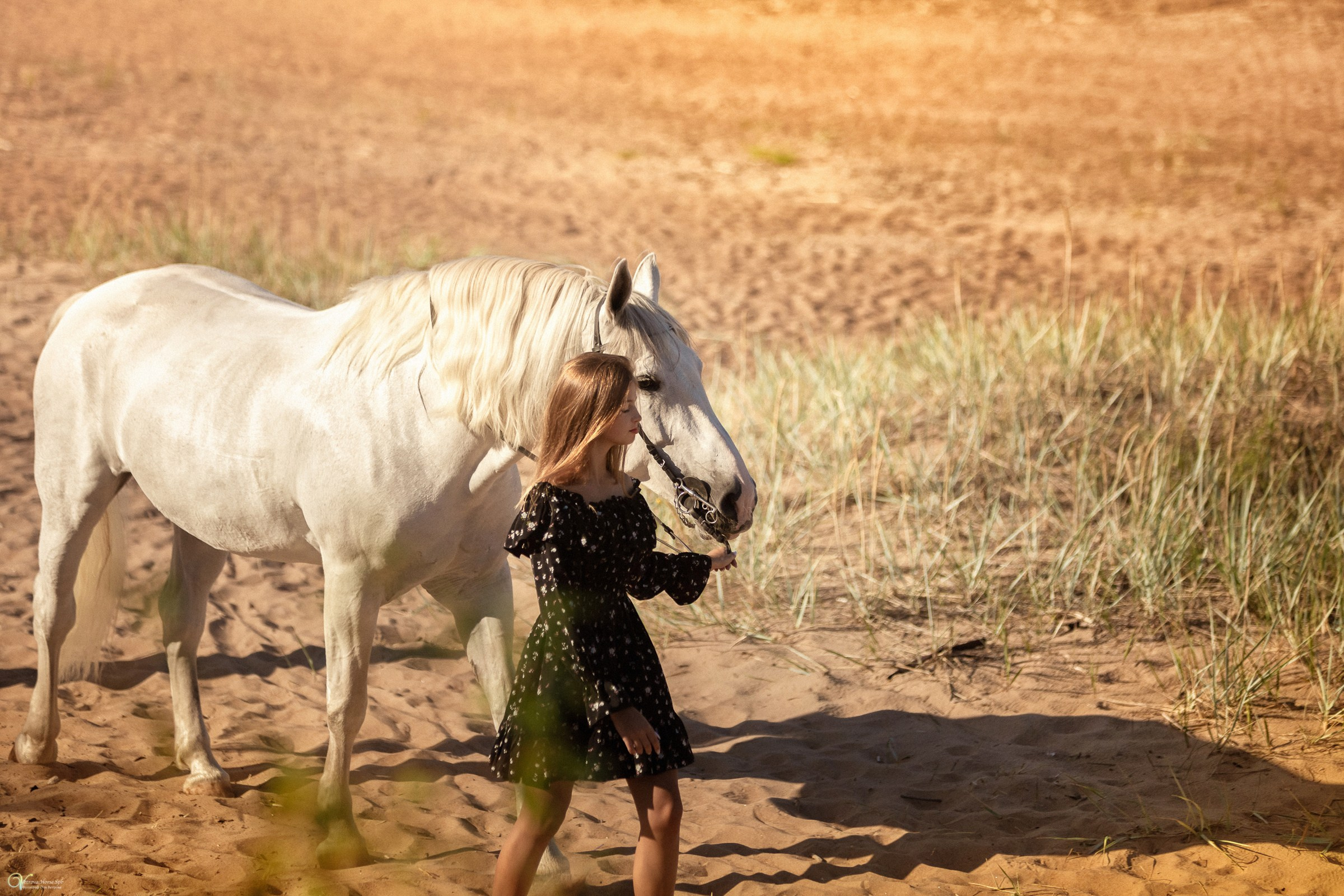 Фотосессии с лошадьми летом. Фотограф женский и мужской портрет Санкт-Петербург