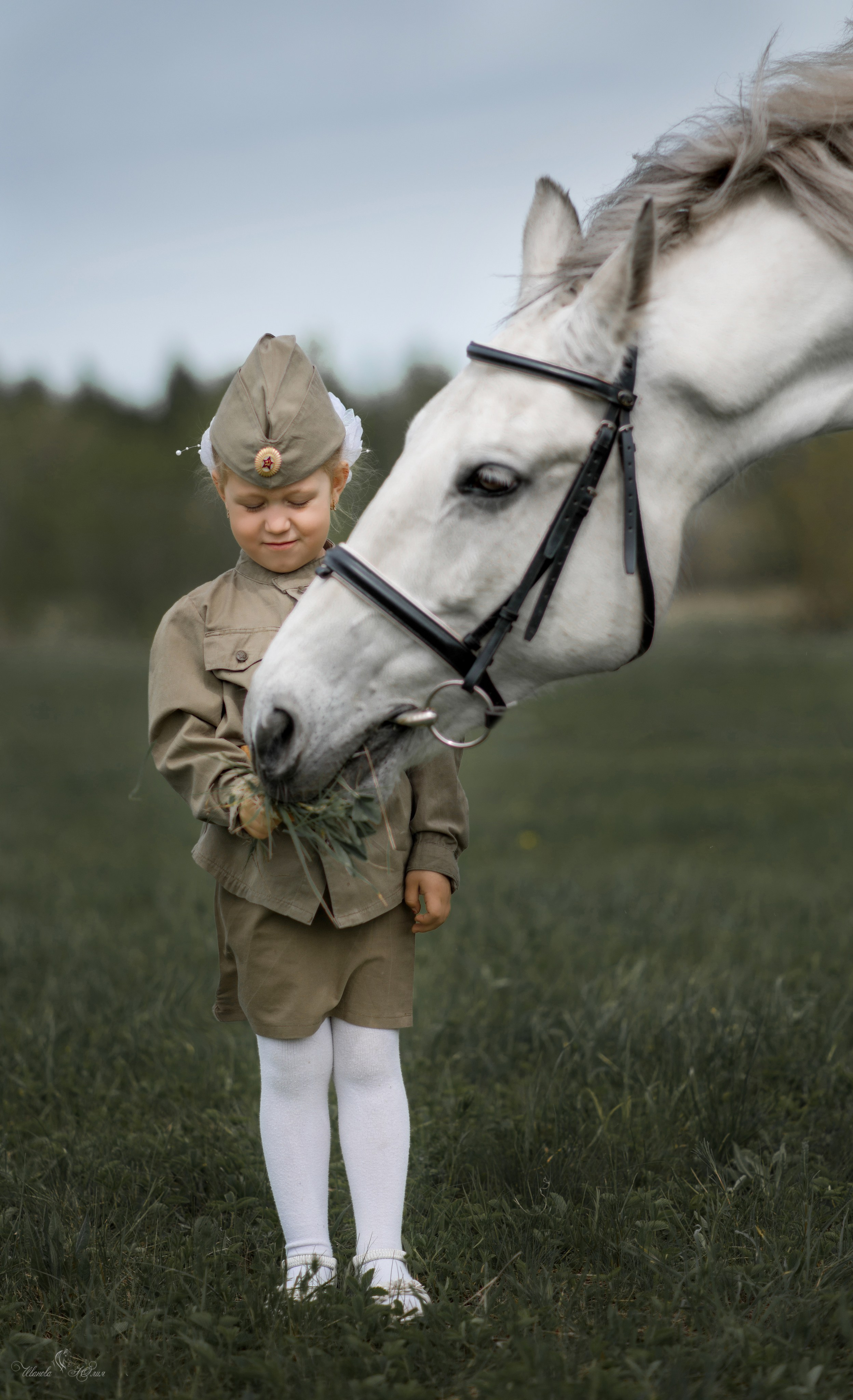 Мирослава и Гипноз. Конный фотограф в Саратове Юлия Иванова