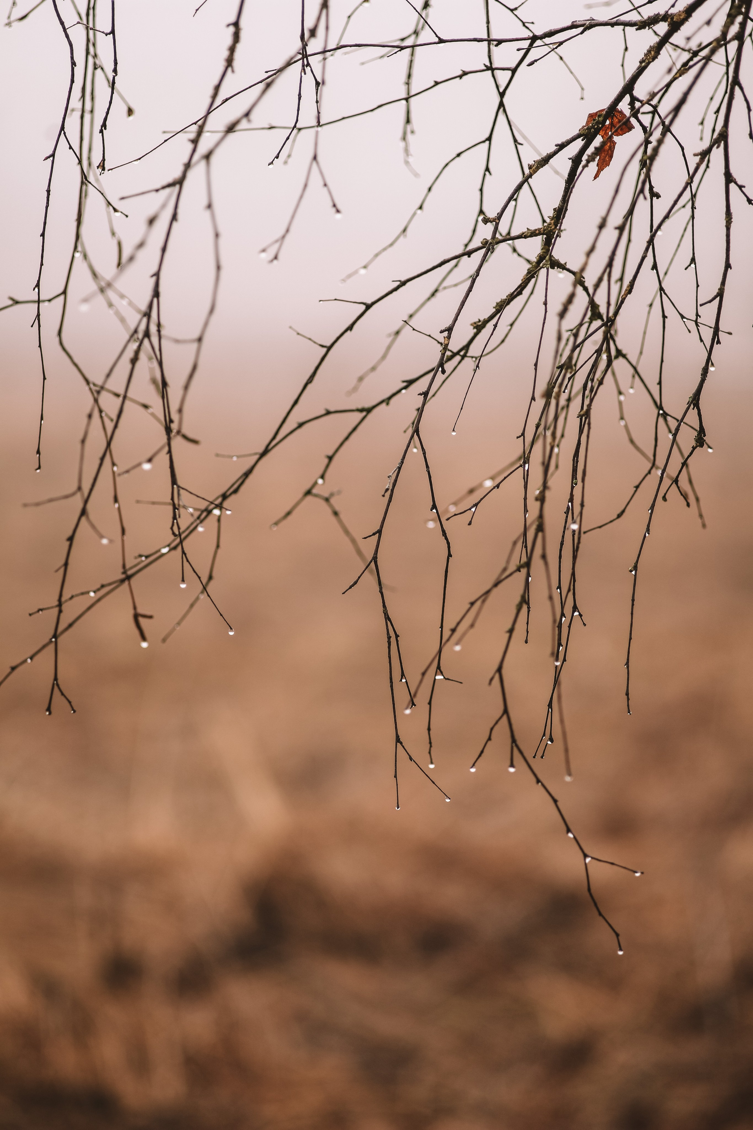 Природа. Фотограф Ольга Мурзина