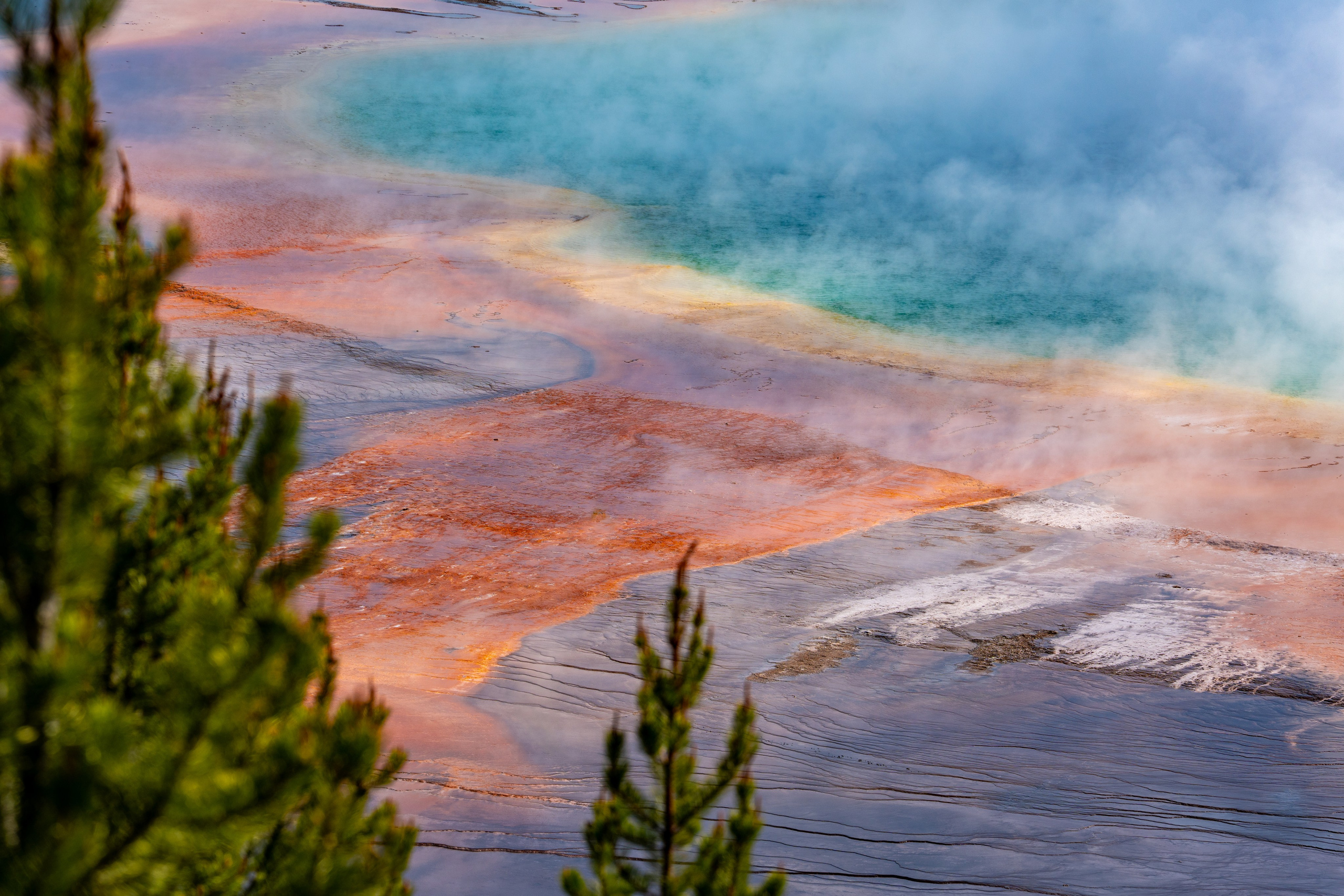 Большой призматический источник, Йеллоустонский национальный парк, США 2025