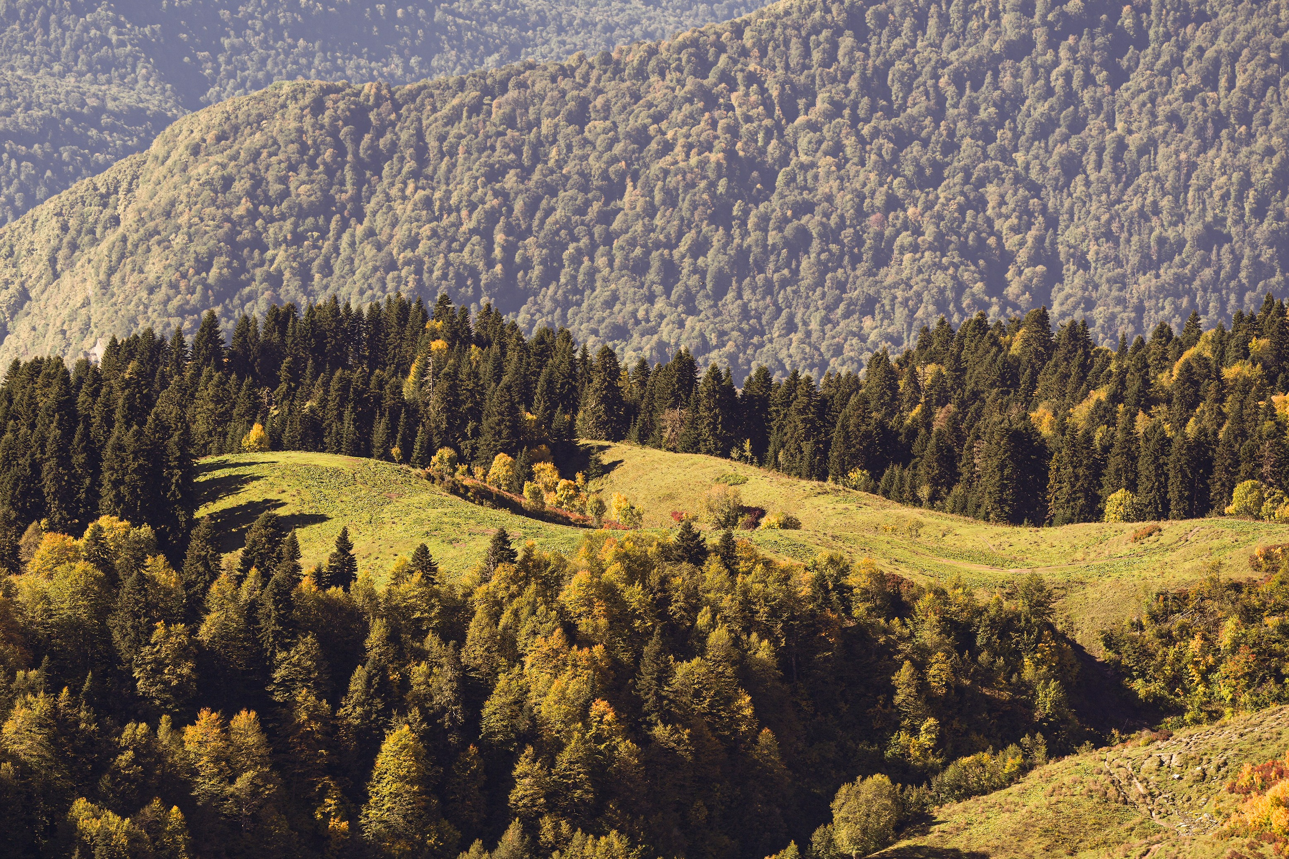 Ыаывы. Репортажный фотограф в Красной Поляне и Сочи Павлюченко Екатерина