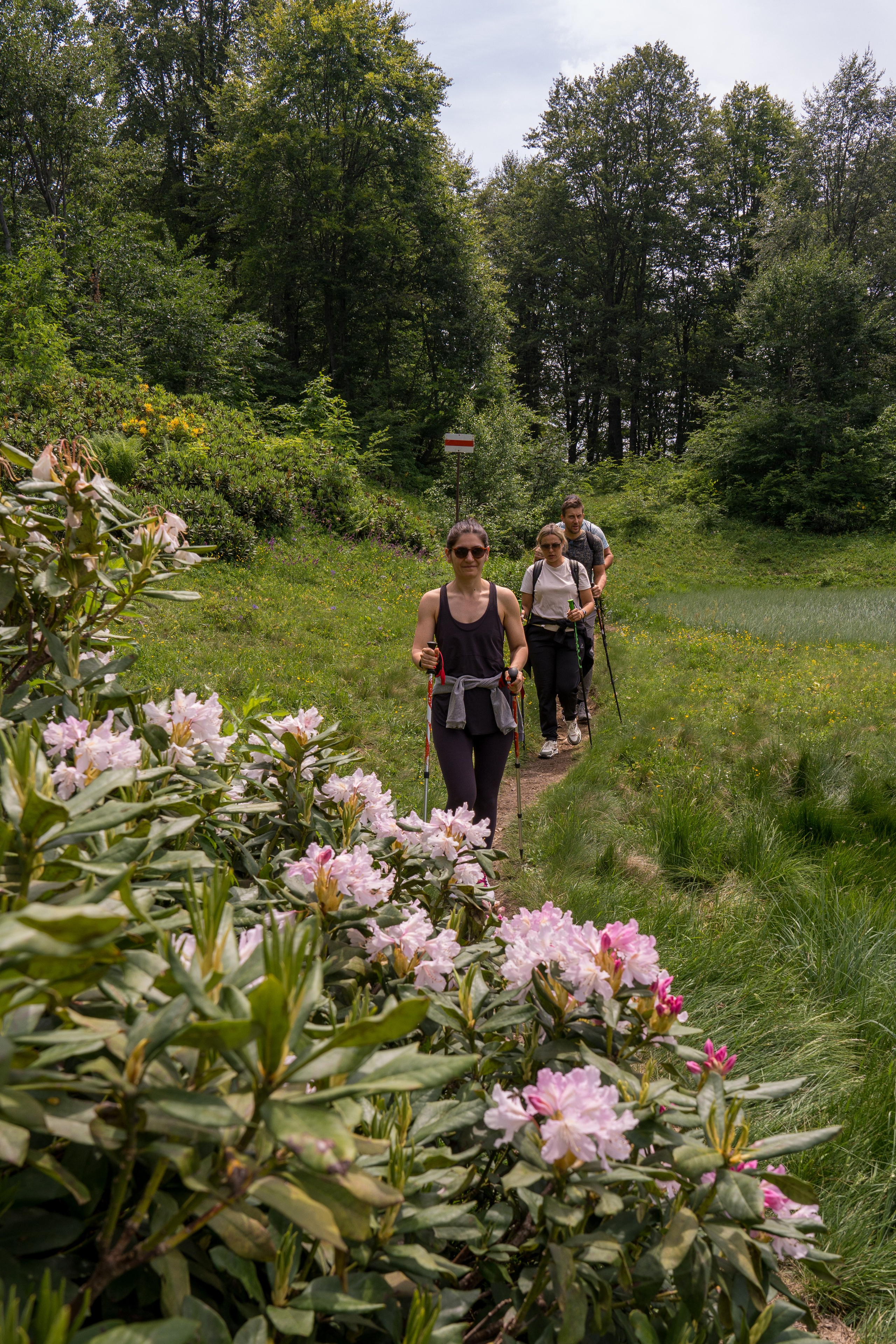 MICE мероприятие для компании «Доставка морем»: хайкинг к Ачипсинским водопадам. Репортажный фотограф в Красной Поляне и Сочи Павлюченко Екатерина