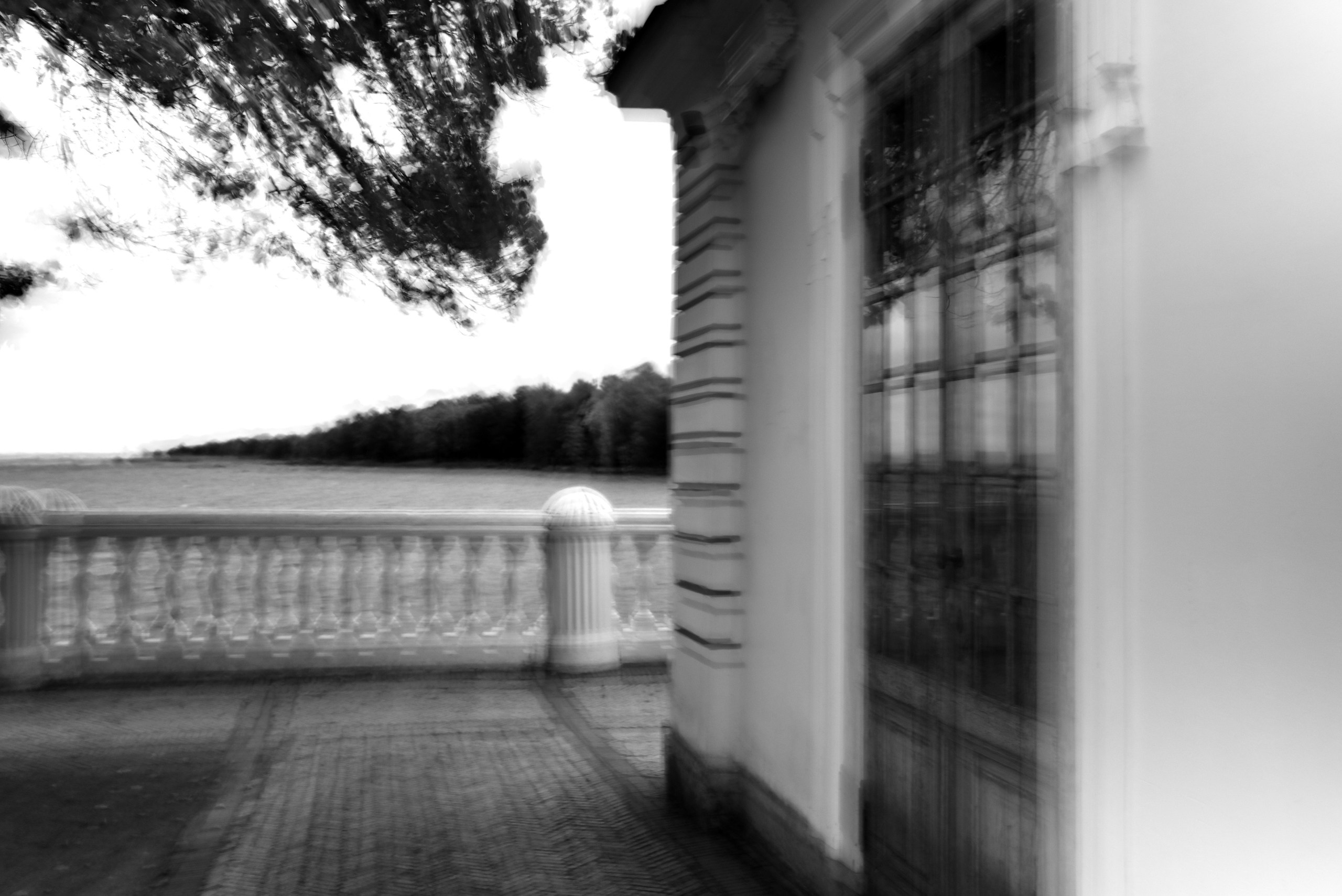 Сад снов. Катерина Михеева