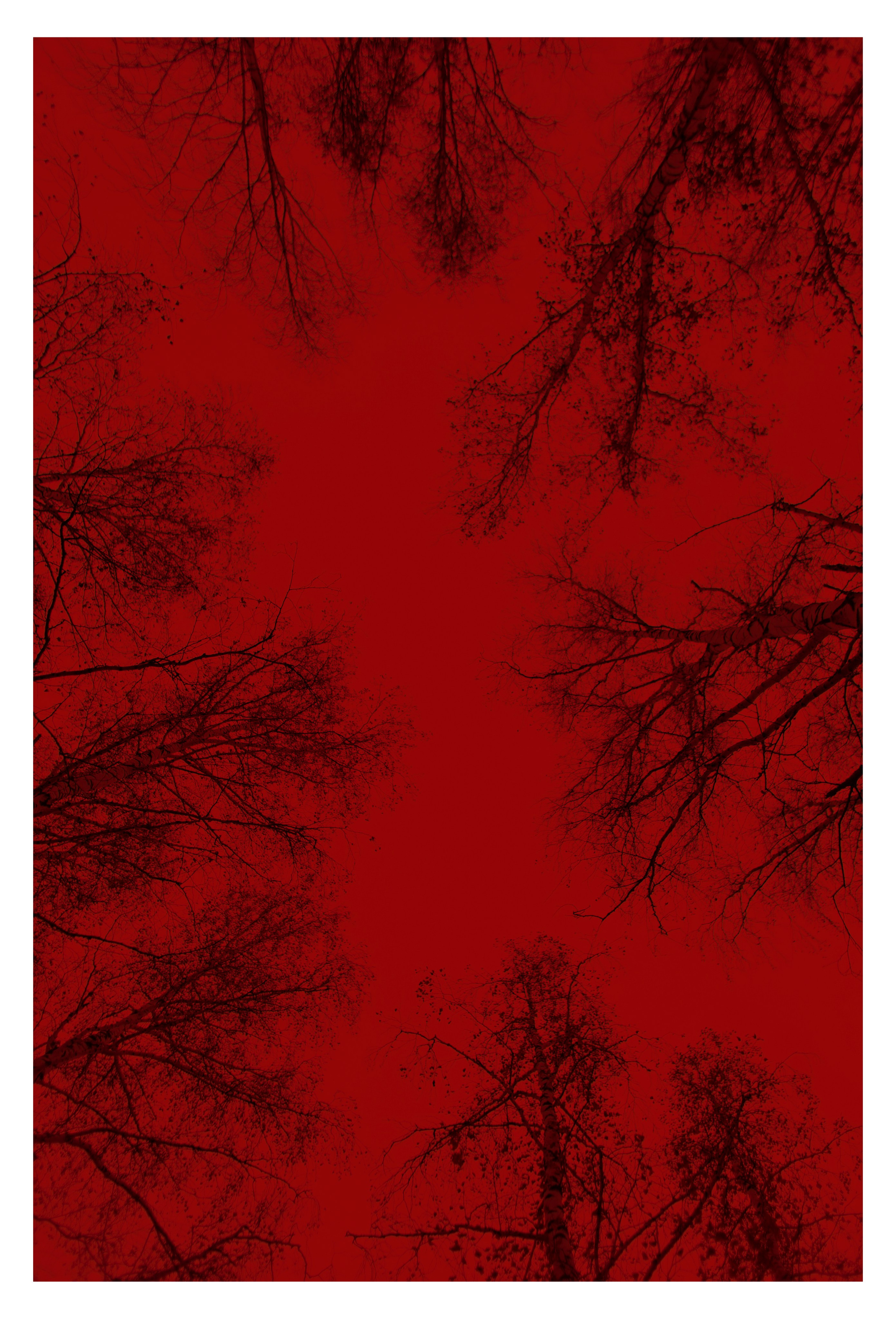 СТРАХ. Фотограф Манакова Ольга