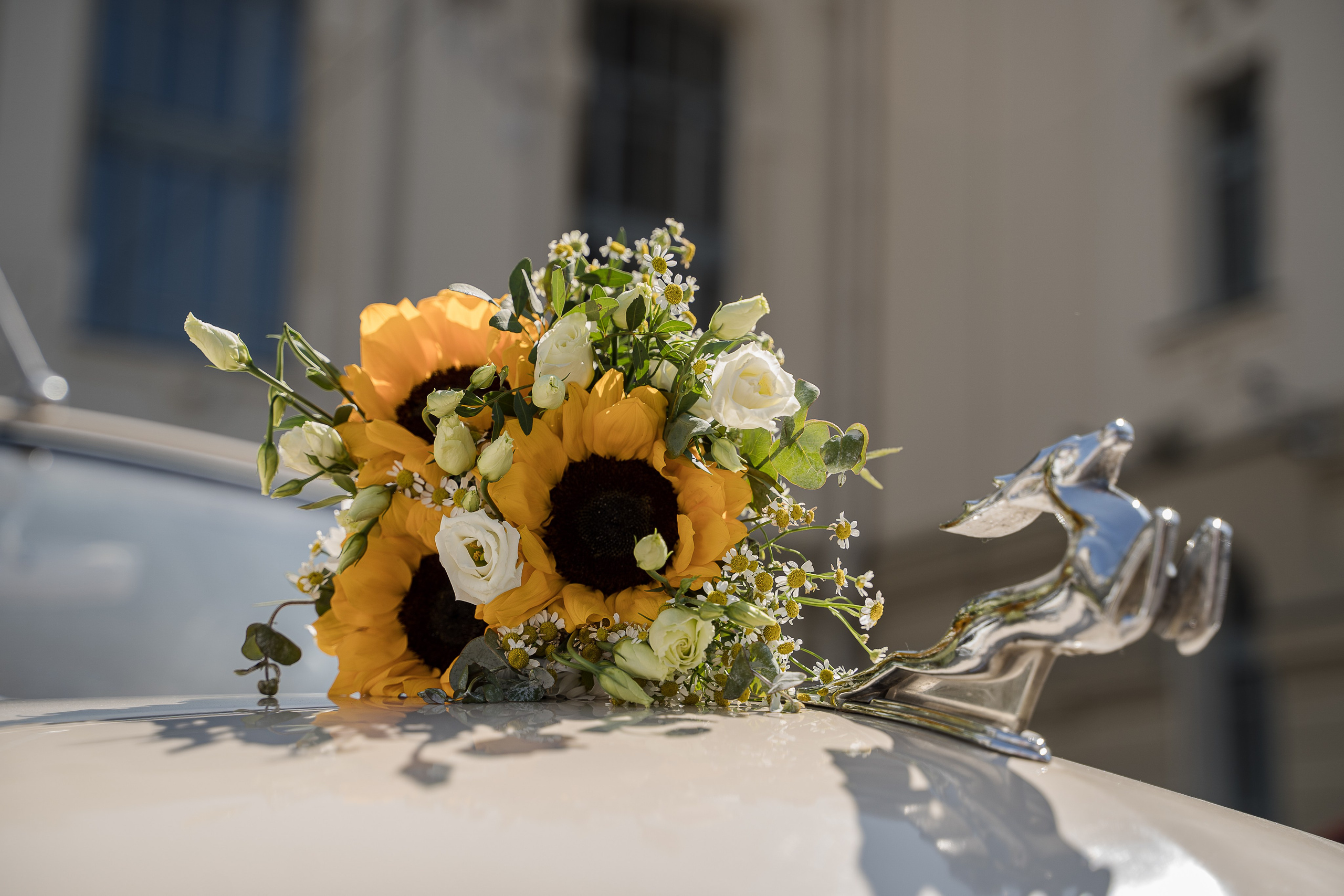 Илья и Катя. Свадебный и семейный фотограф в Пушкине и Санкт-Петербурге Мария Филиппова