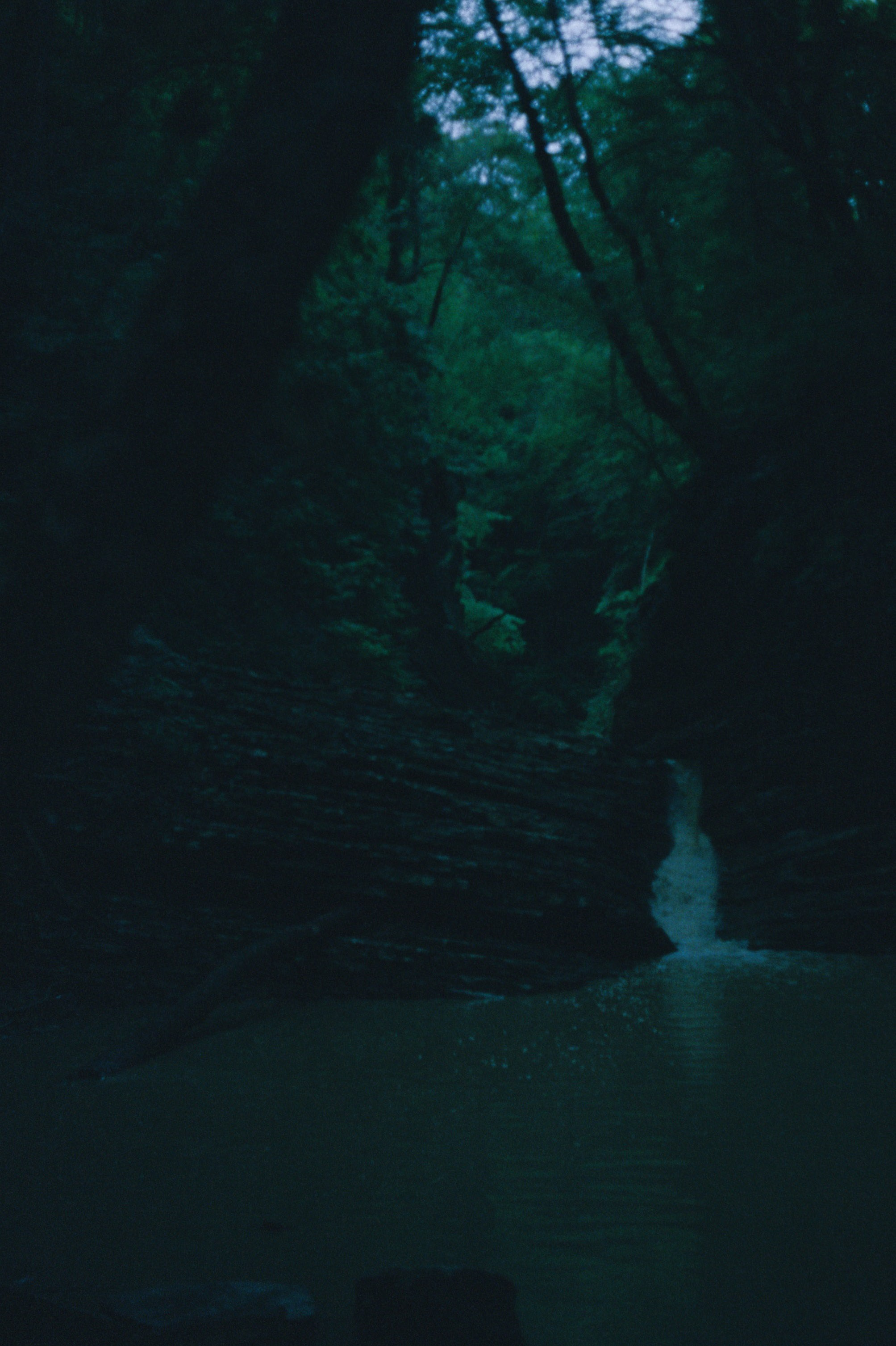 Sochi \ august 2022 \ film 35. Коммерческий Фотограф Виктор Фоменых