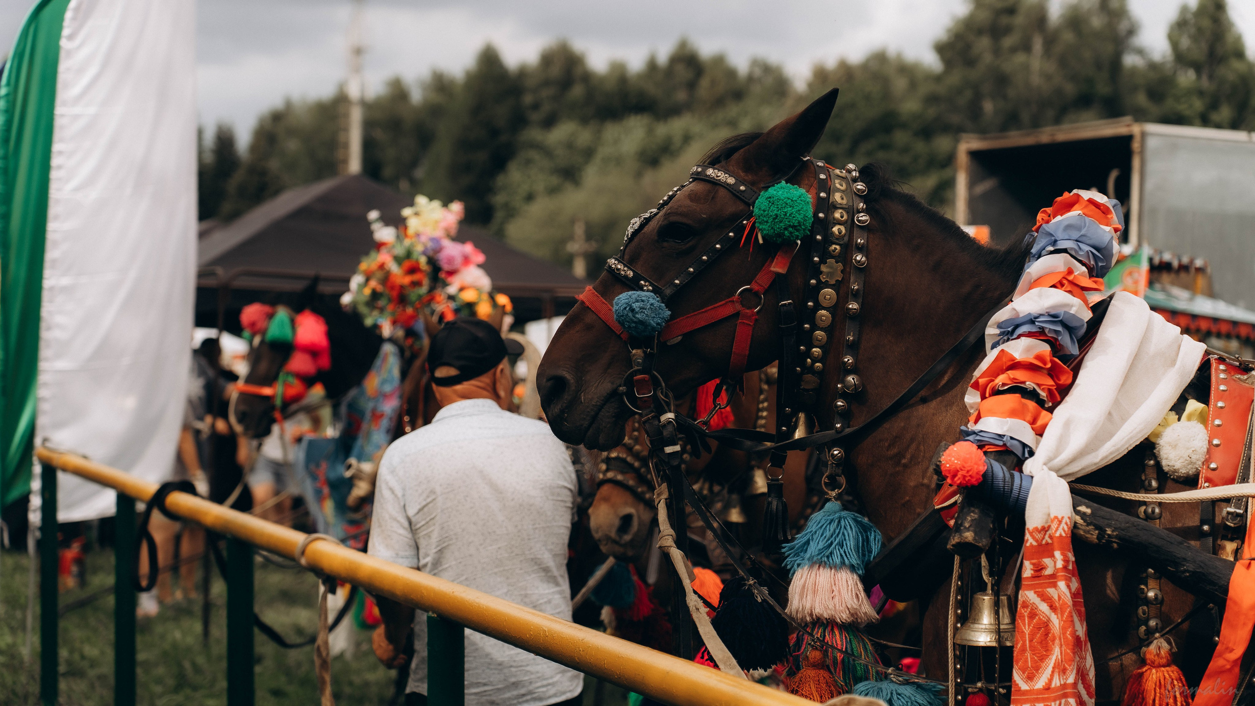 День Коня. Алиса Никитцова | Фотограф в Казани