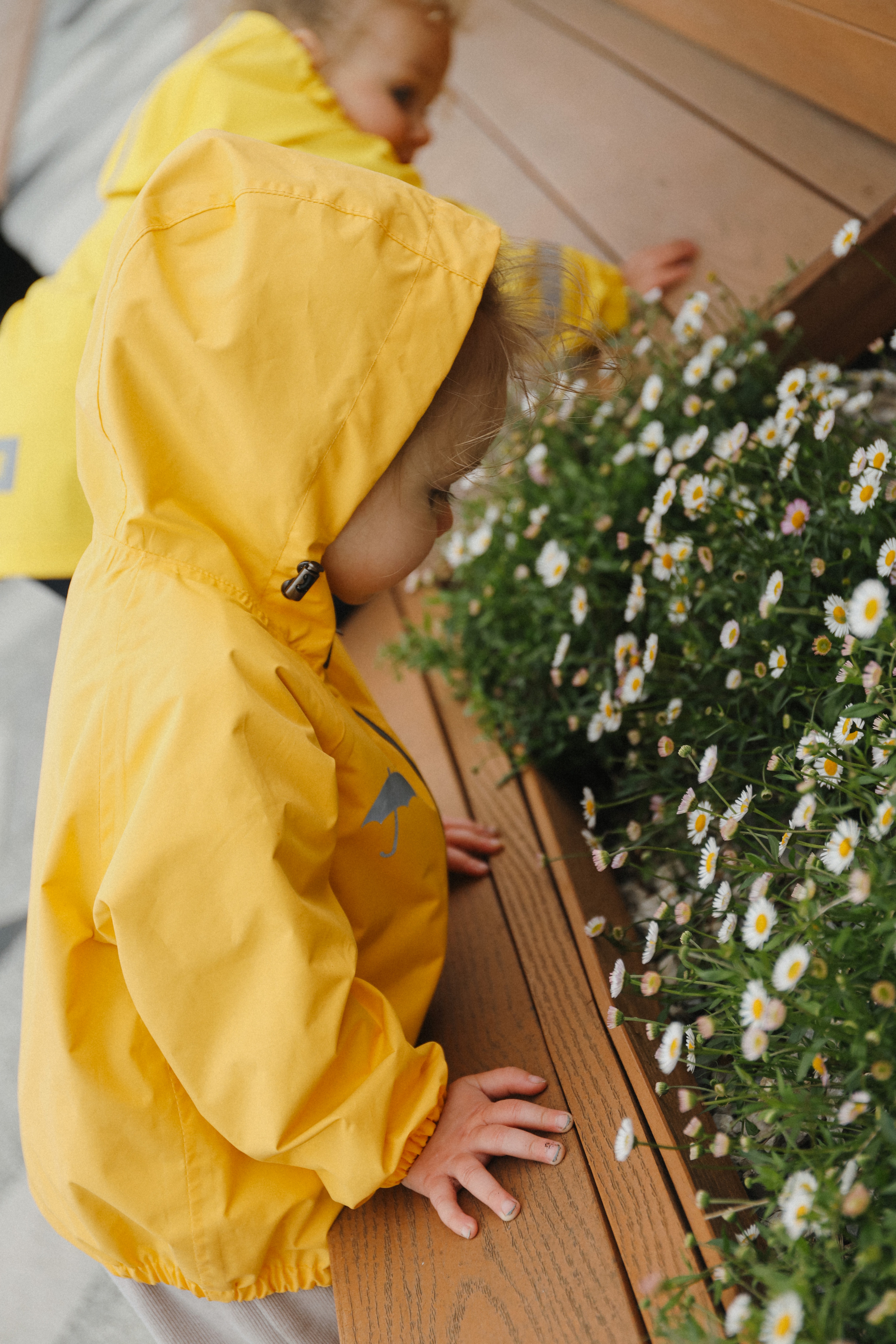 Адель и Эмилия🤍. Фотограф на роды в Санкт-Петербурге, семейный, нью-борн Алиса Хрекова