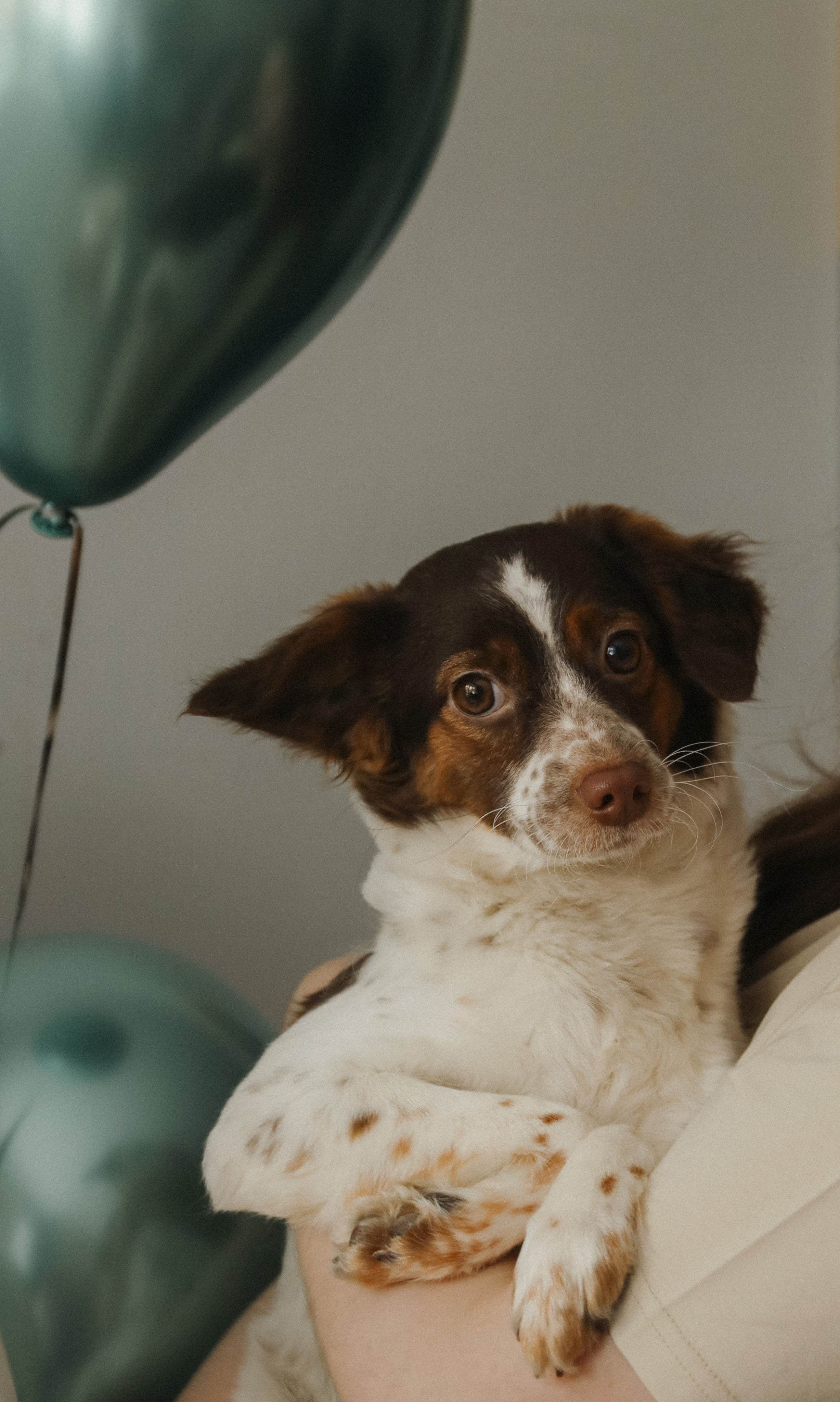 Игнат. 1 годик🤍. Фотограф на роды в Санкт-Петербурге, семейный, нью-борн Алиса Хрекова