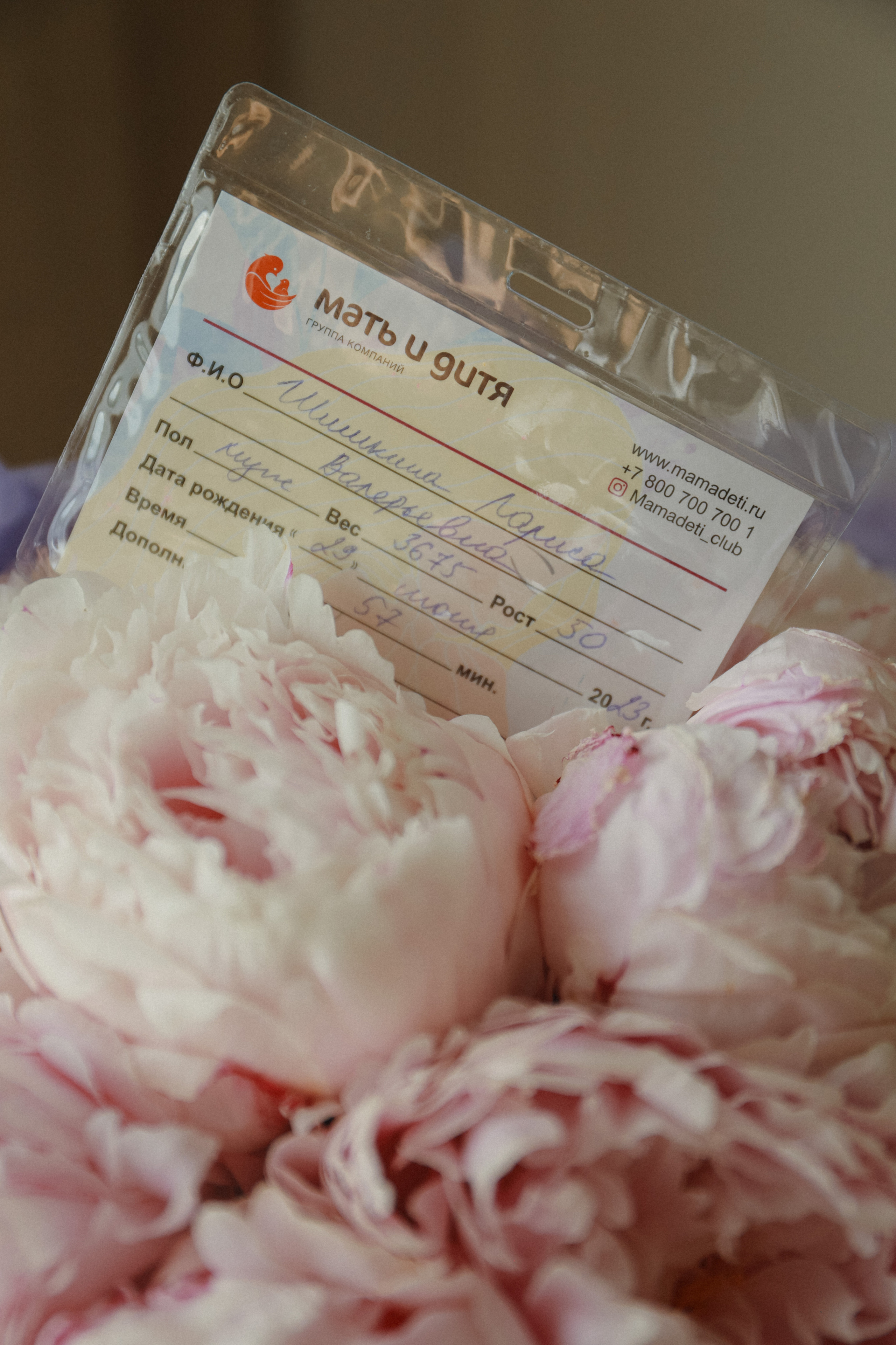 Выписка Леши🤍. Фотограф на роды в Санкт-Петербурге, семейный, нью-борн Алиса Хрекова