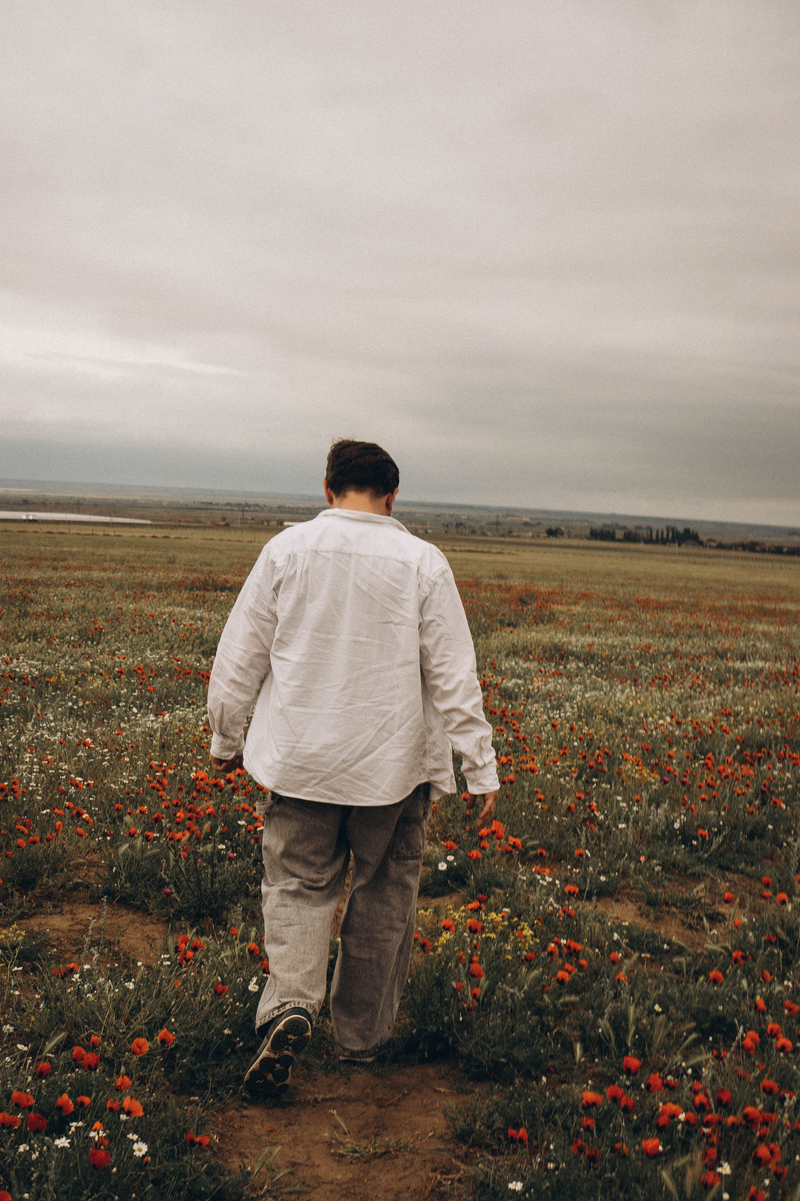 Маки. Профессиональный фотограф, Санкт-Петербург — Виктория Богомолова