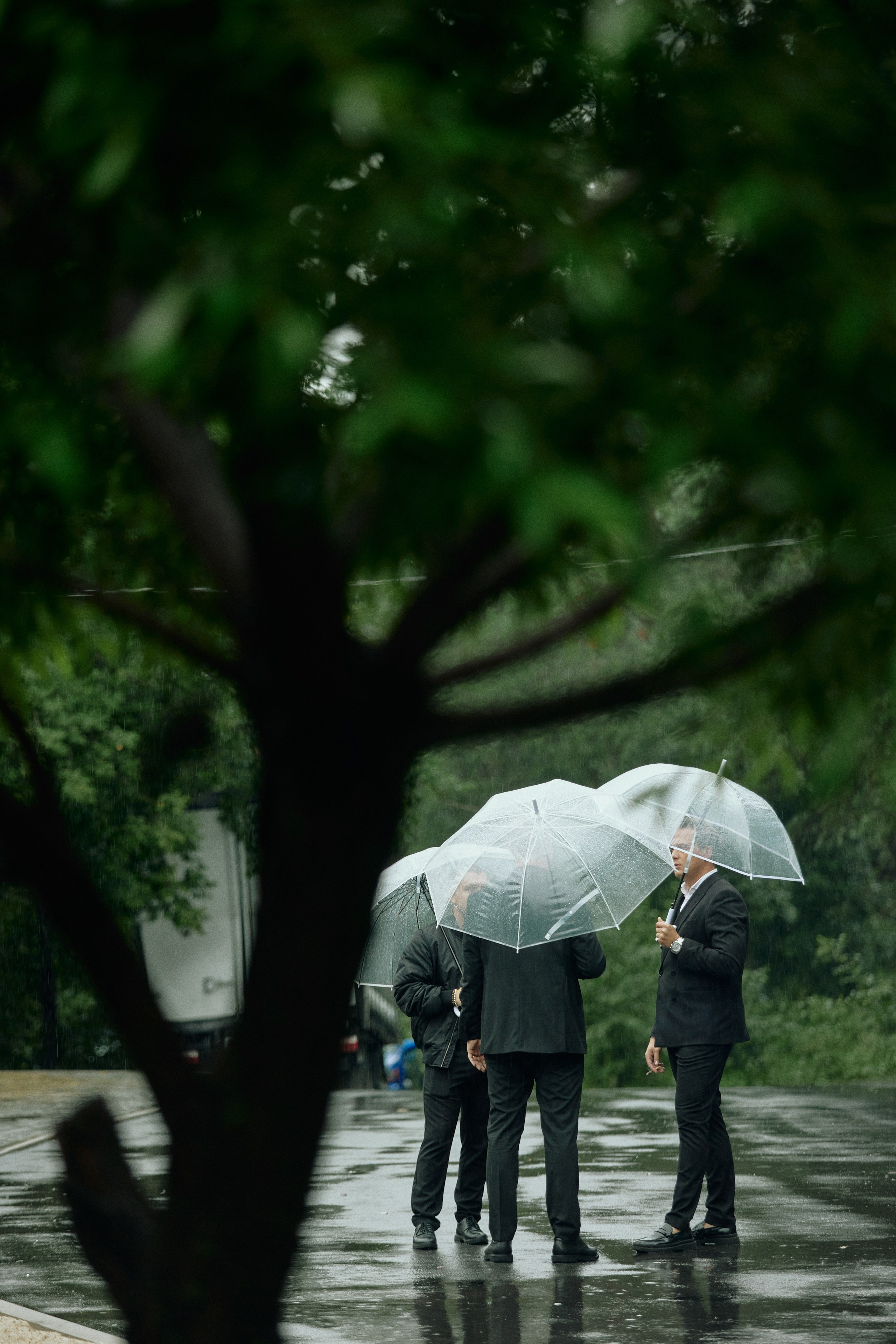 RAIN AND TENDERNESS. Дмитрий Мазуркевич: Профессиональный Репортажный Фотограф