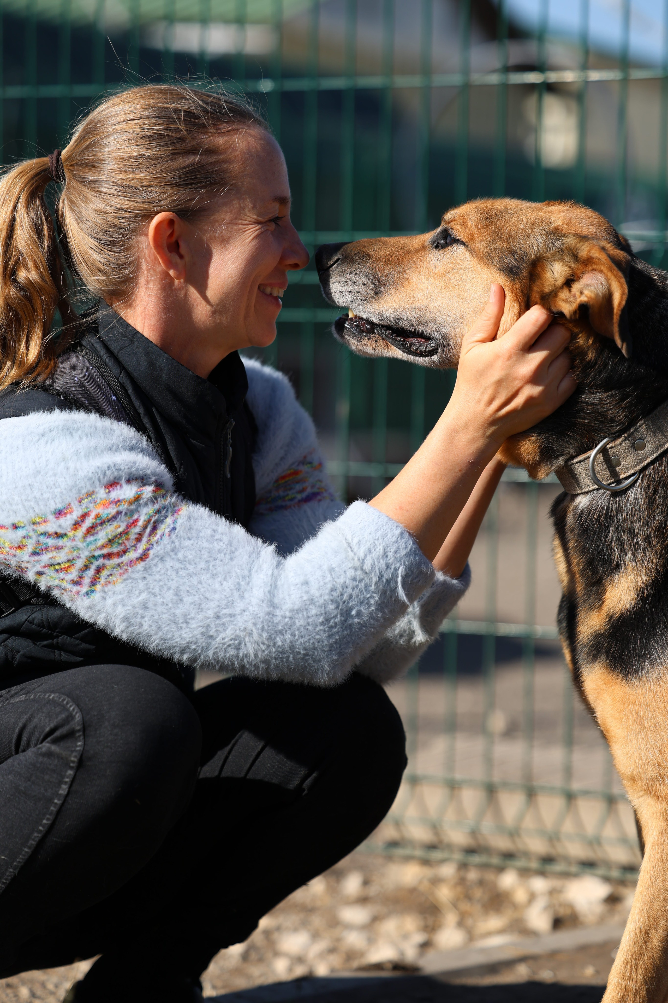 Приют. Виктория Михайловская. Фотограф-анималист. Москва