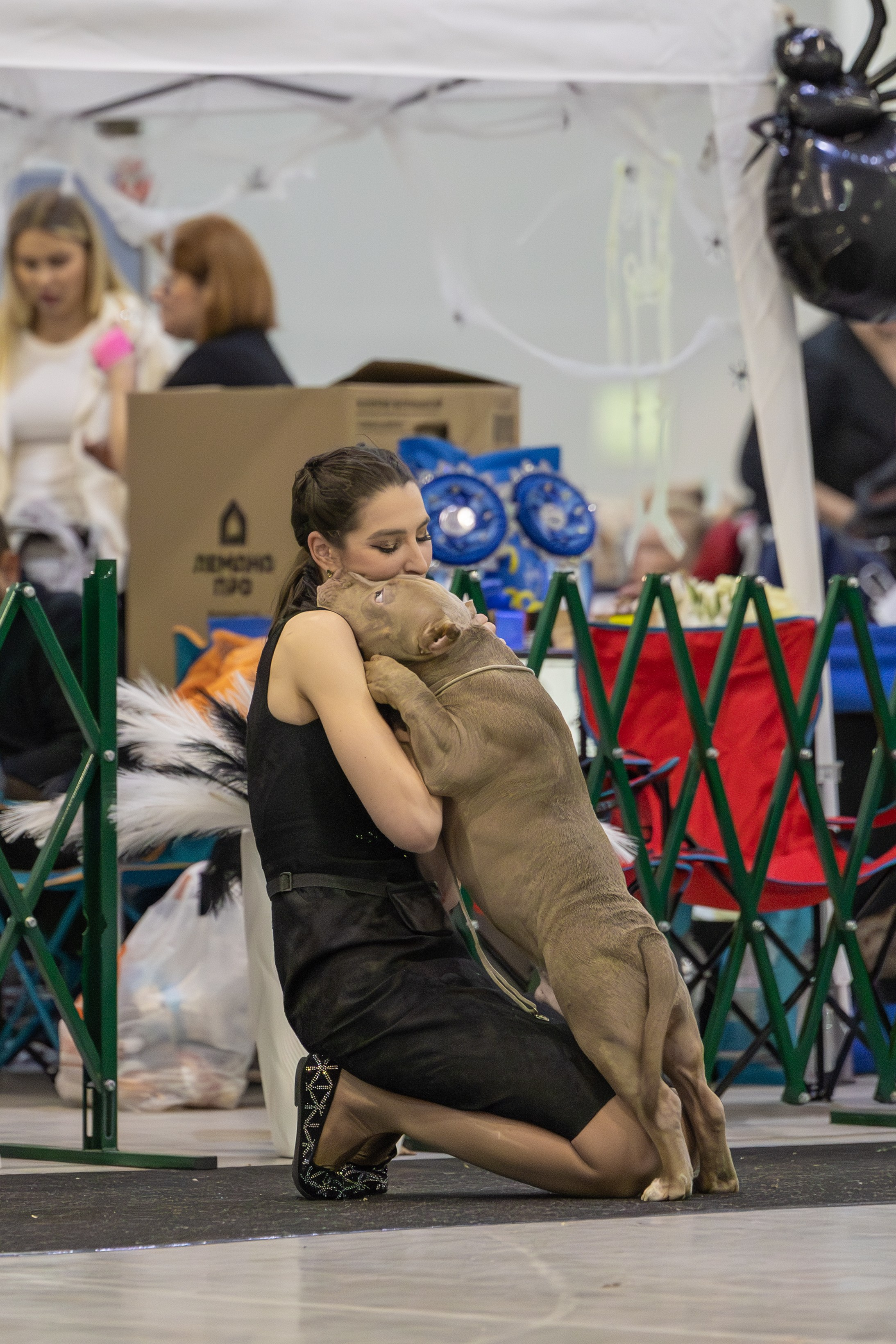 АВКС. Виктория Михайловская. Фотограф-анималист. Москва