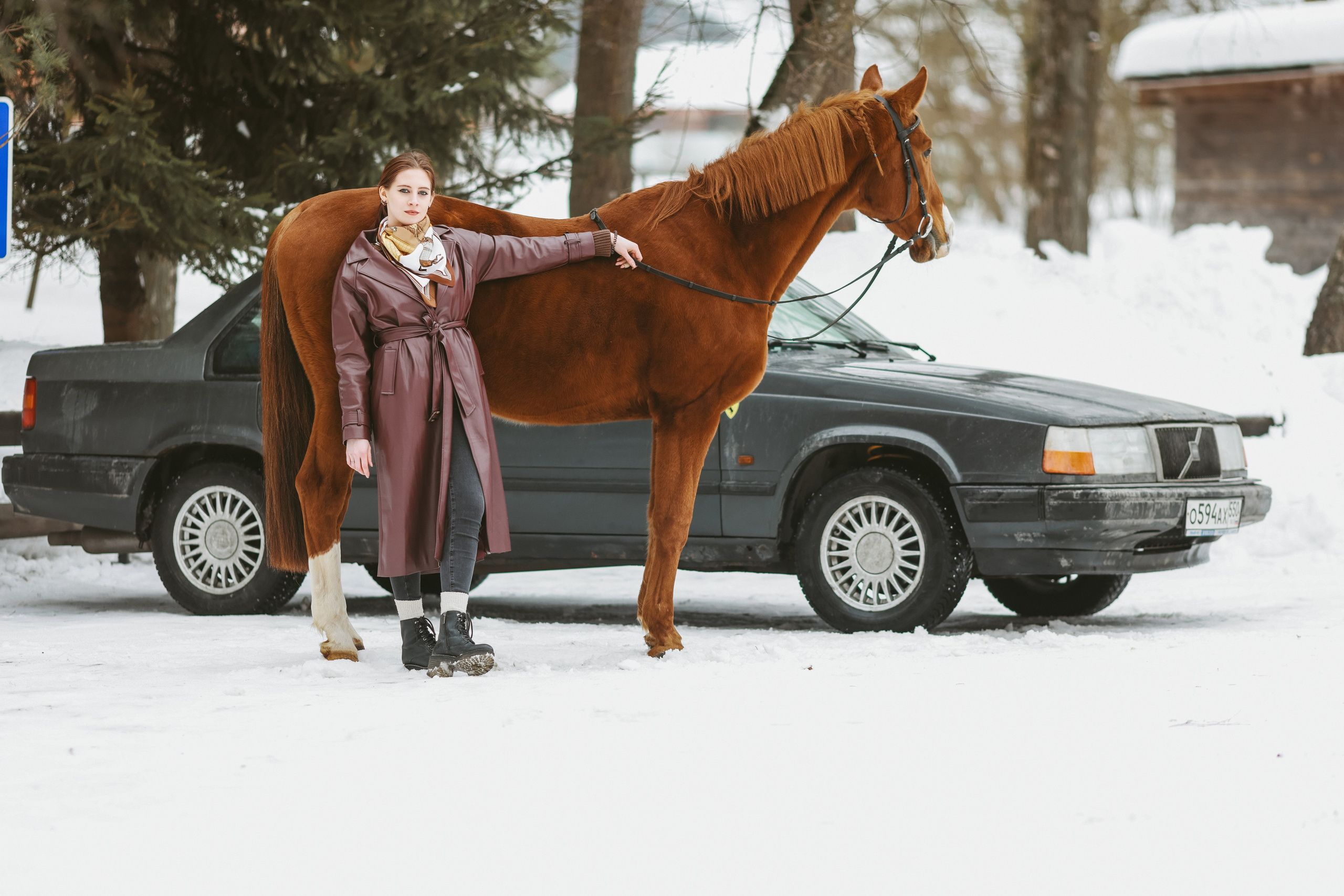 Фотосессии с лошадьми