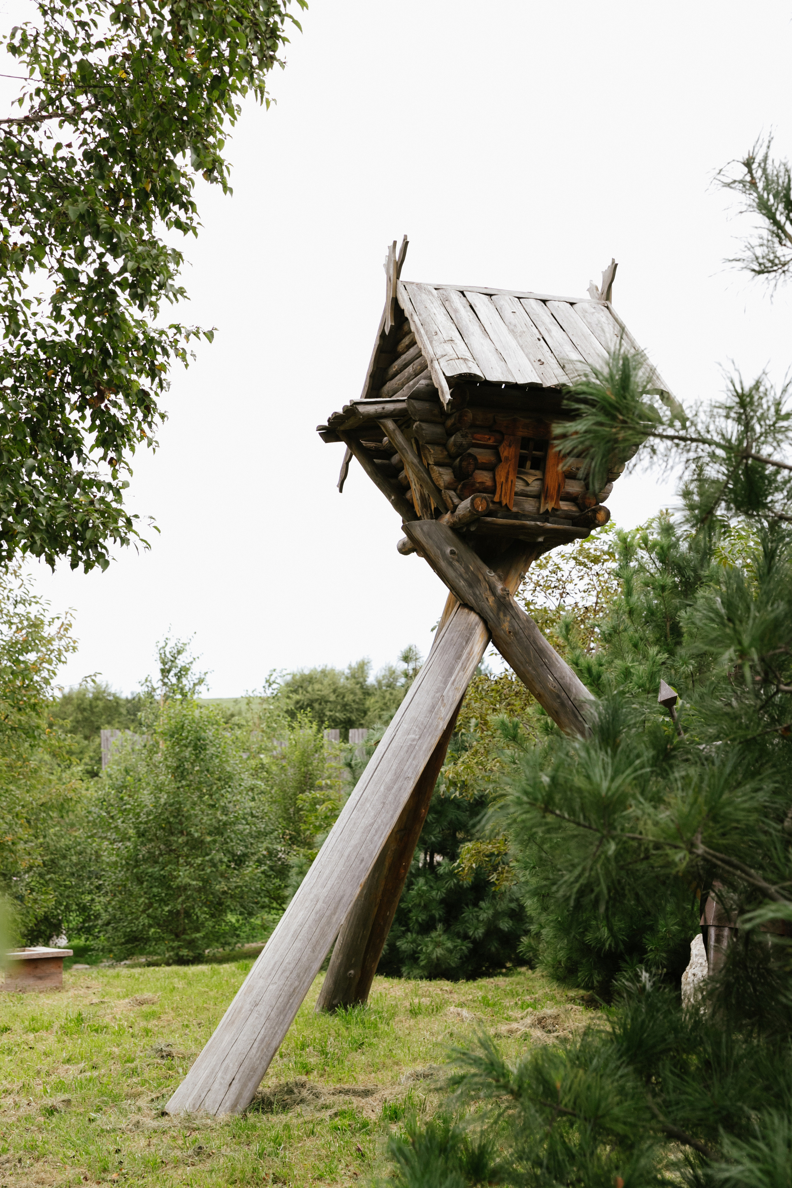 Детские фотосессии. Фотограф во Владивостоке Фролова Наталья