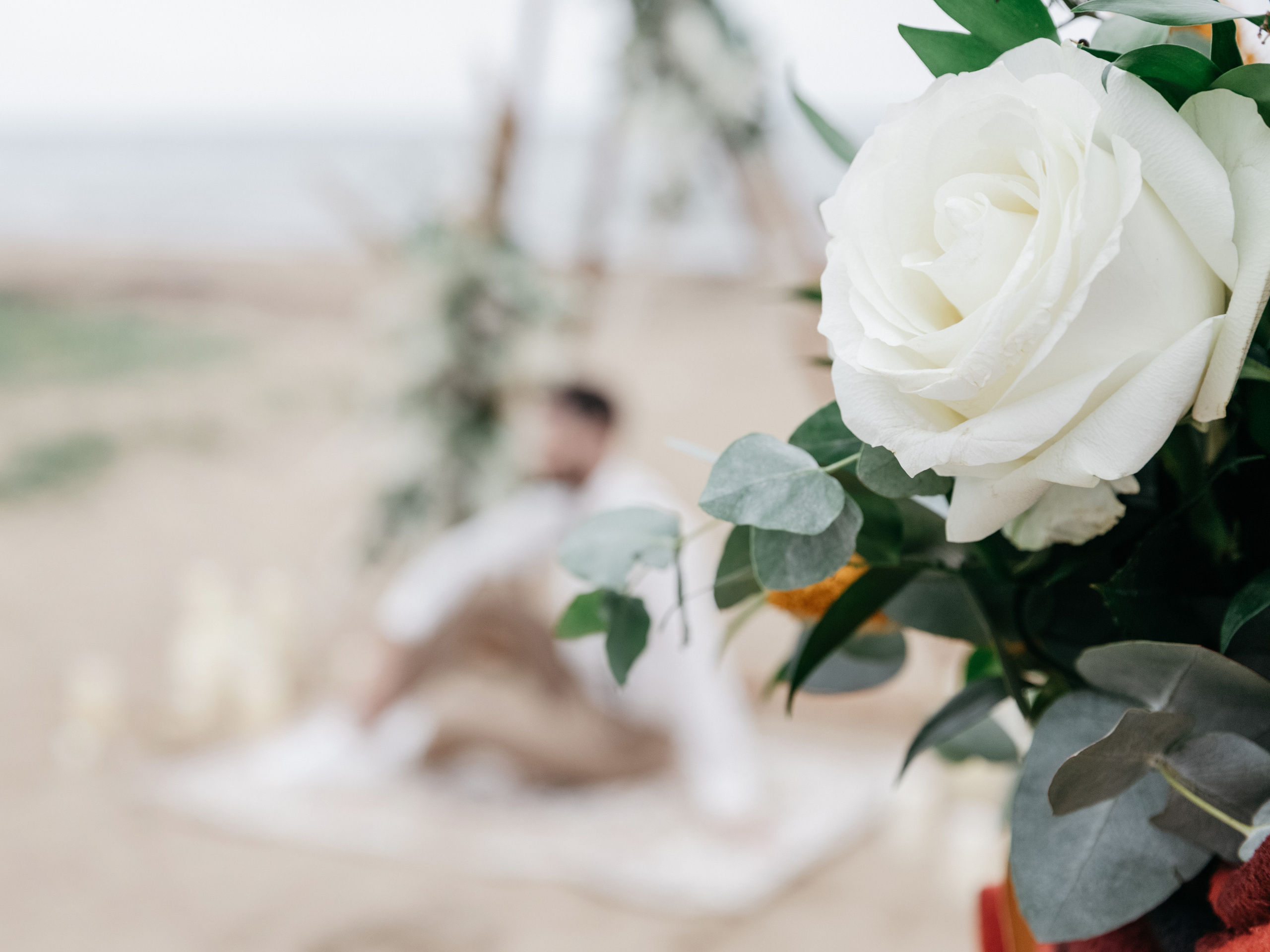 Свадебные фотосессии. Фотограф во Владивостоке Фролова Наталья