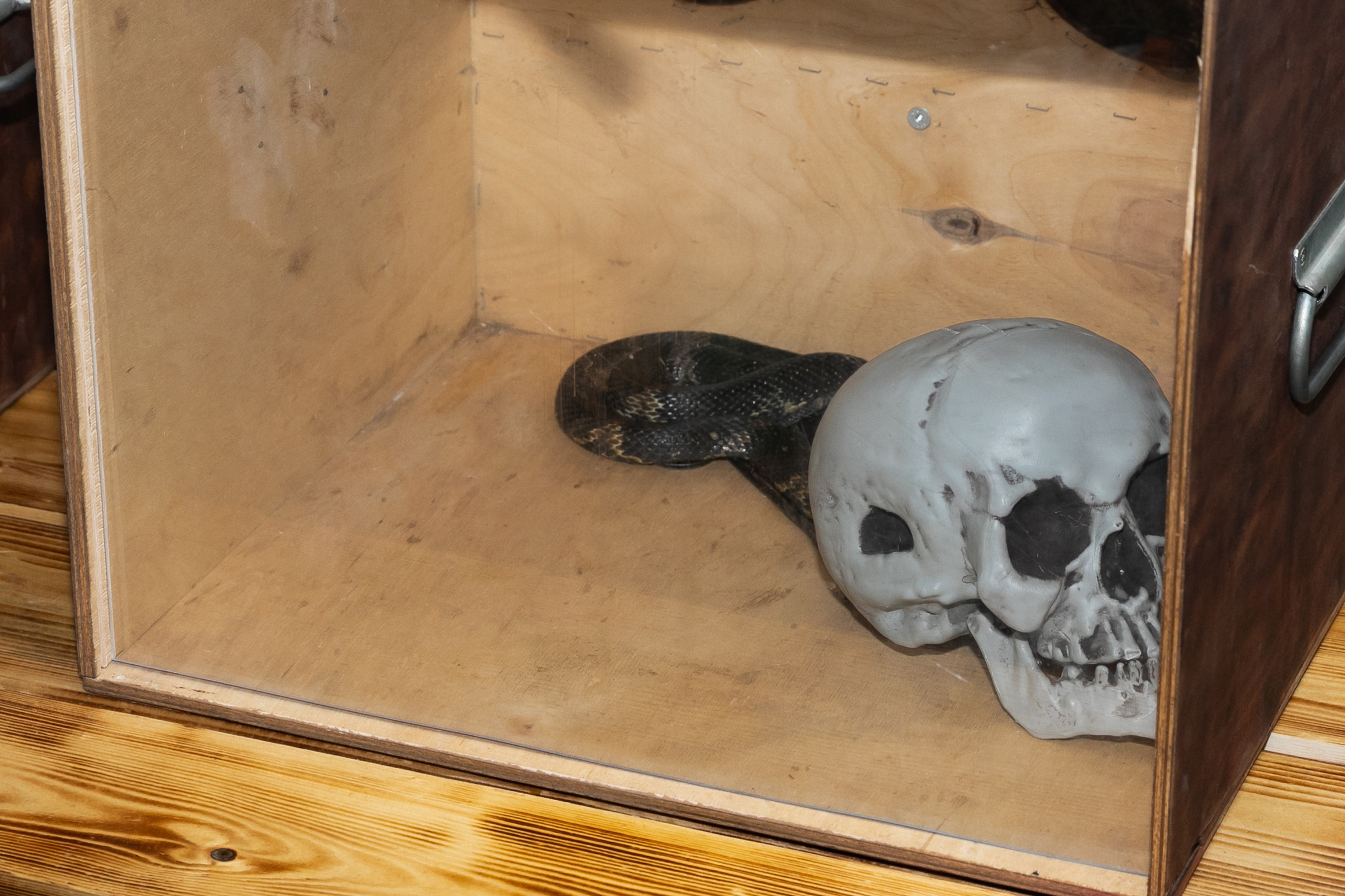 Выпускной в Форт Боярд Владивосток. Фотограф во Владивостоке Фролова Наталья