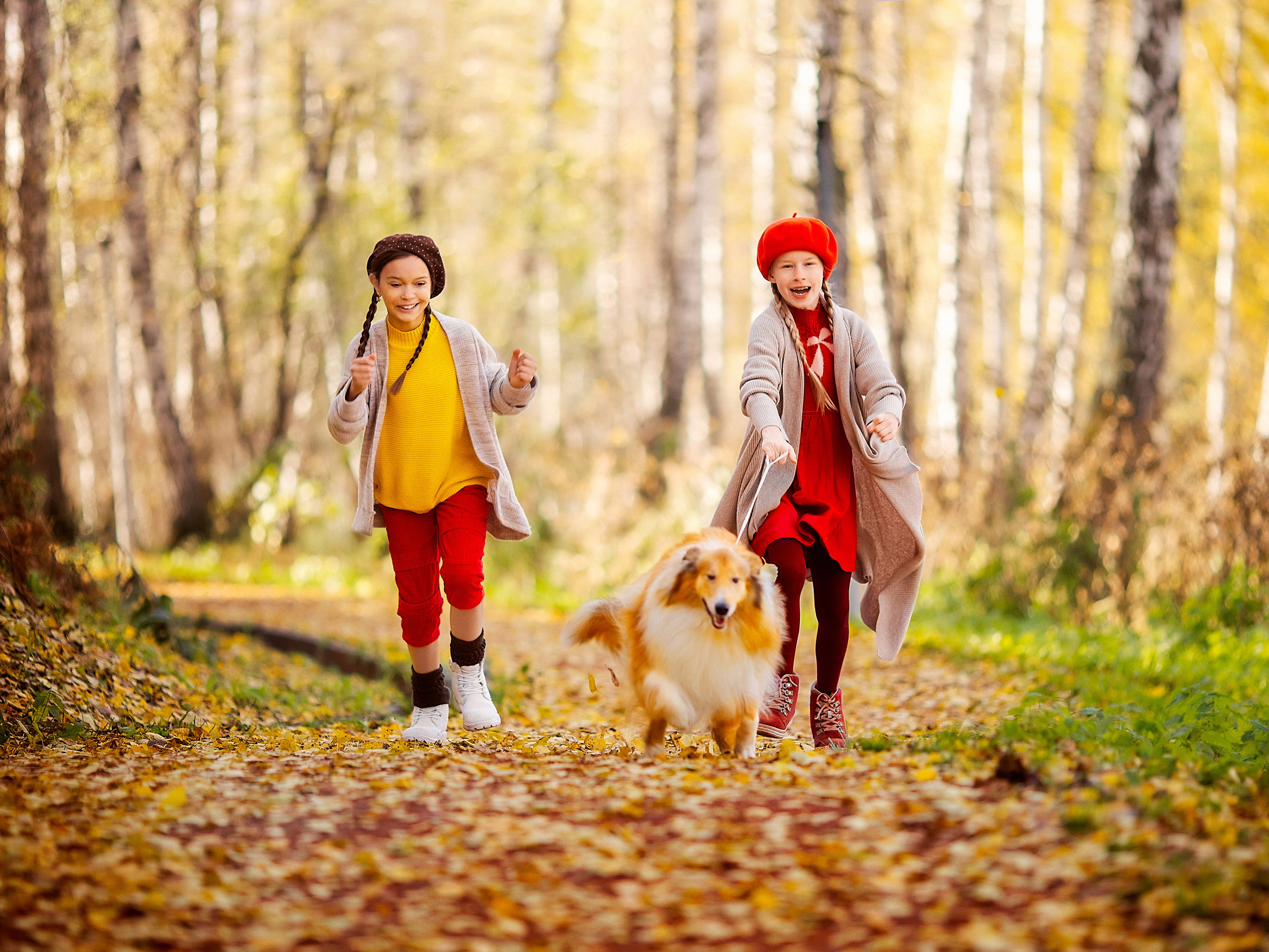 Осень. Семейный и женский фотограф. Видеомейкер в Новосибирске