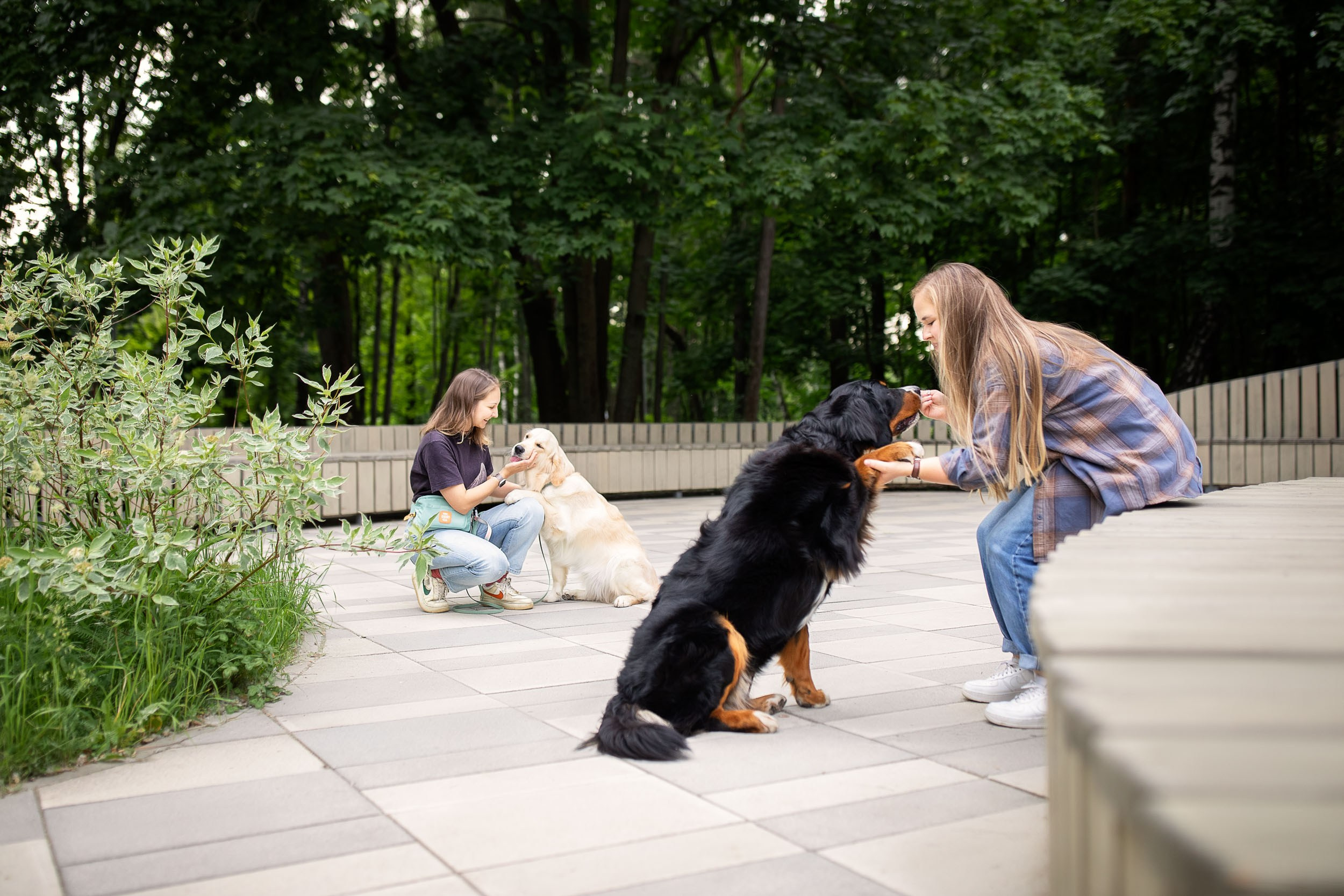 Фотопрогулка для четырех человек с собаками. Фотограф-анималист в Москве и Московской области Татьяна Фролова