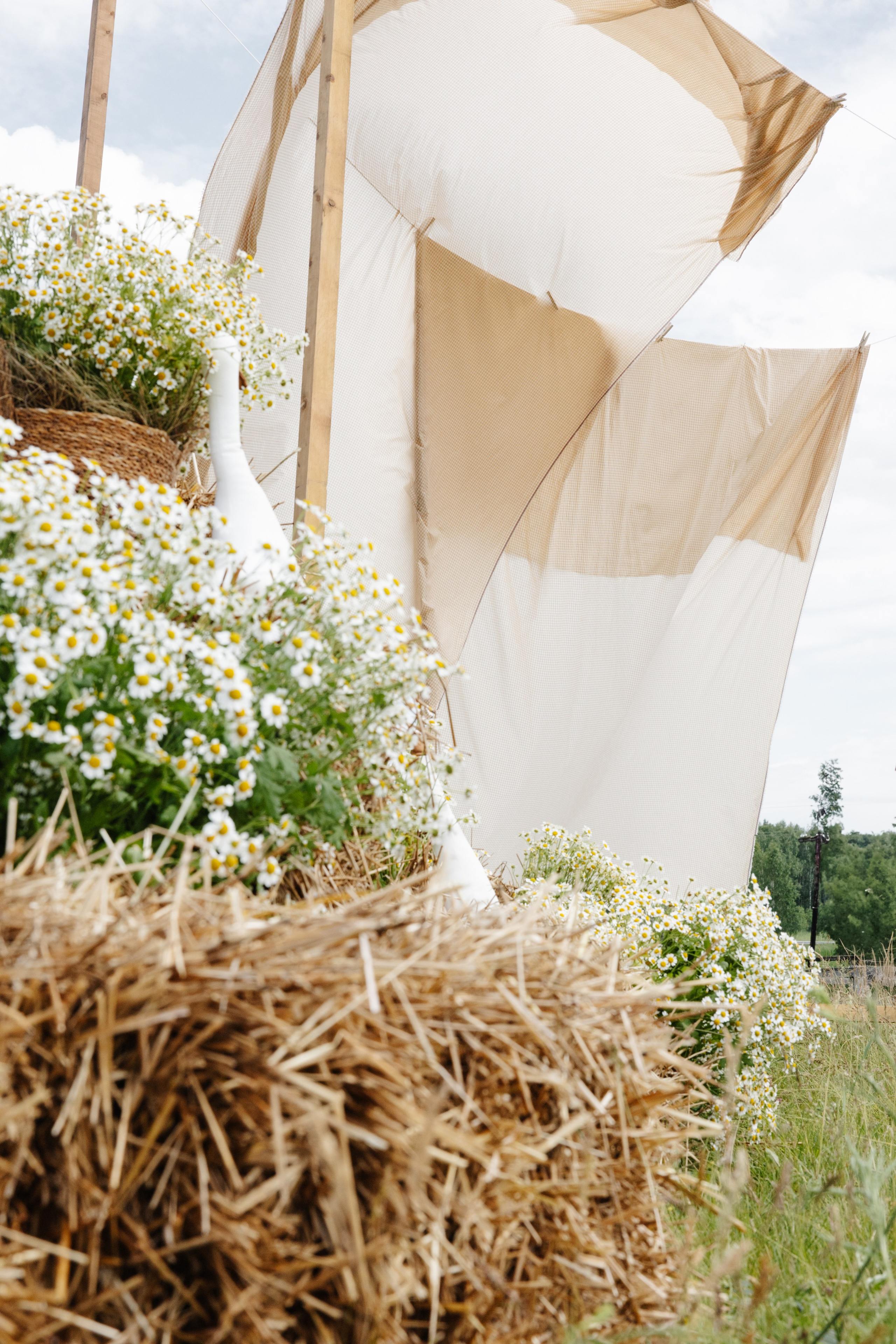 ГЕНДЕР ПАТИ. Фотограф в Красноярске