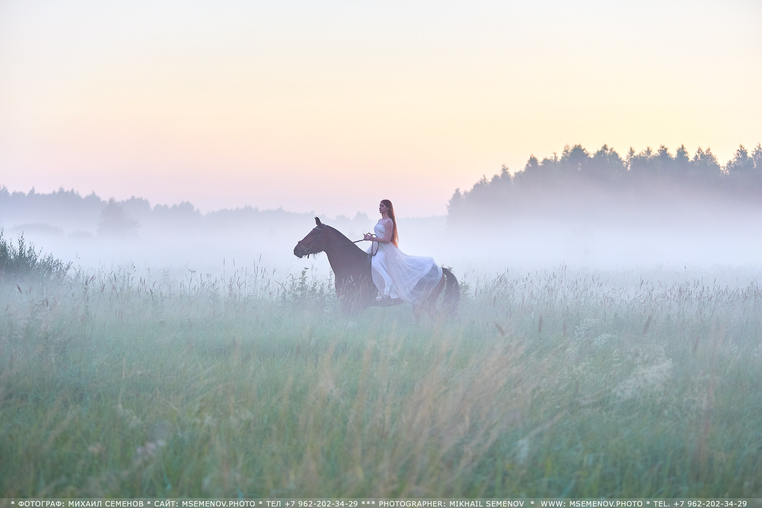 Фотосессия с лошадьми, Фотограф Михаил Семенов г. Ярославль