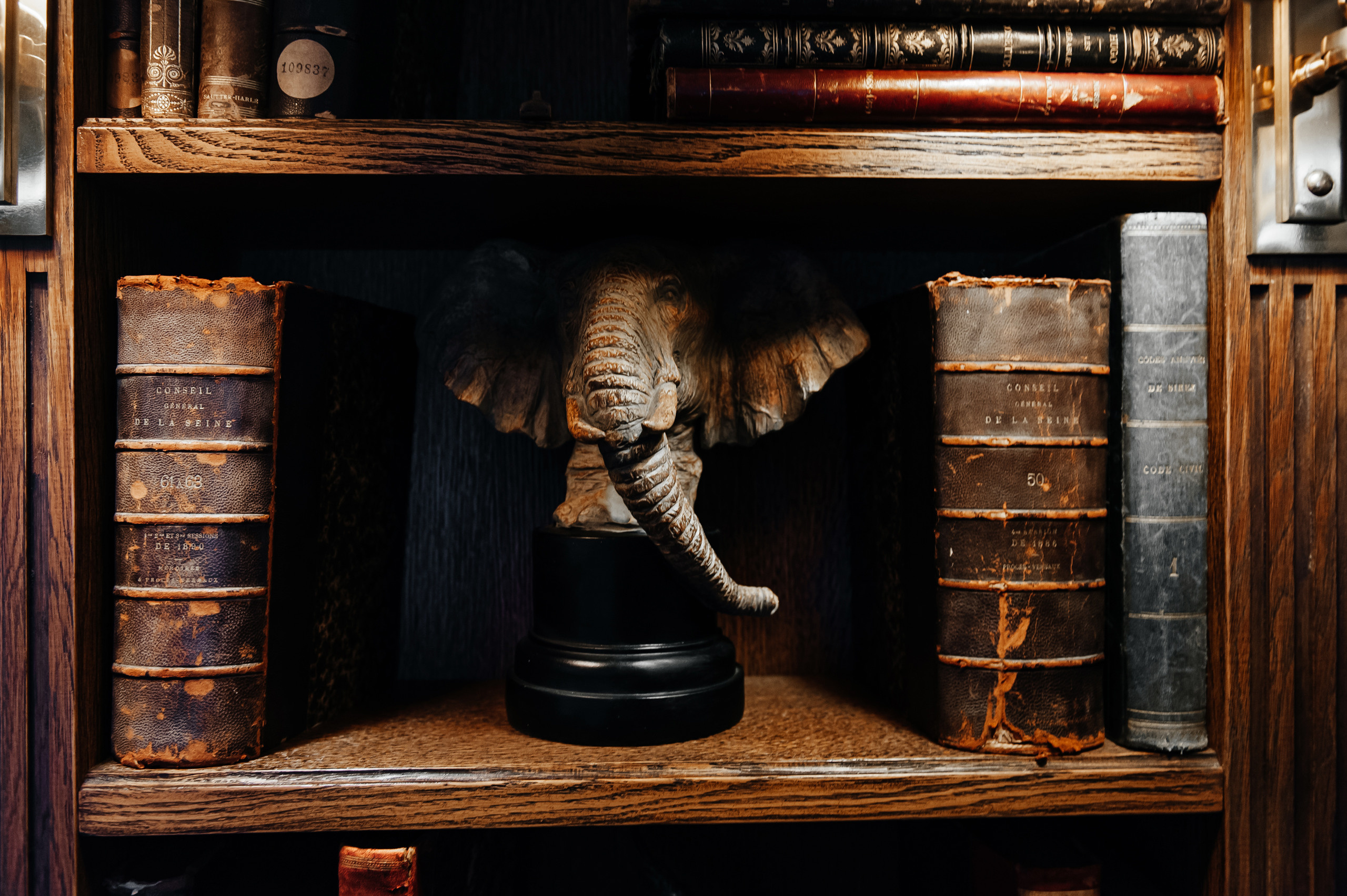 Виктор и Юлия. Свадебный организатор в Ростове-на-Дону Яснов Роман