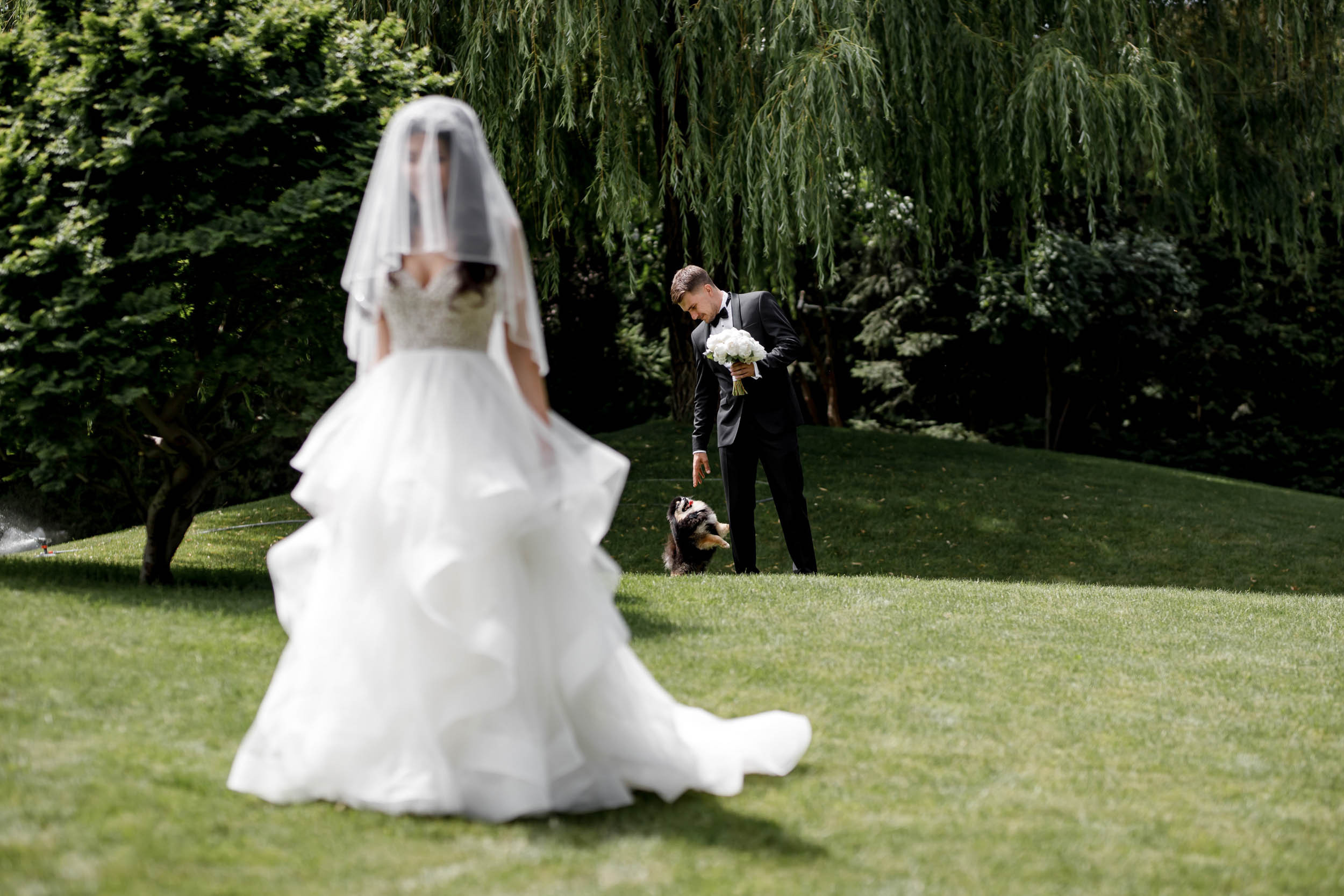 Притяжение любви. Яша и Катя 13 июня 2019. Свадебный организатор в Ростове-на-Дону Яснов Роман