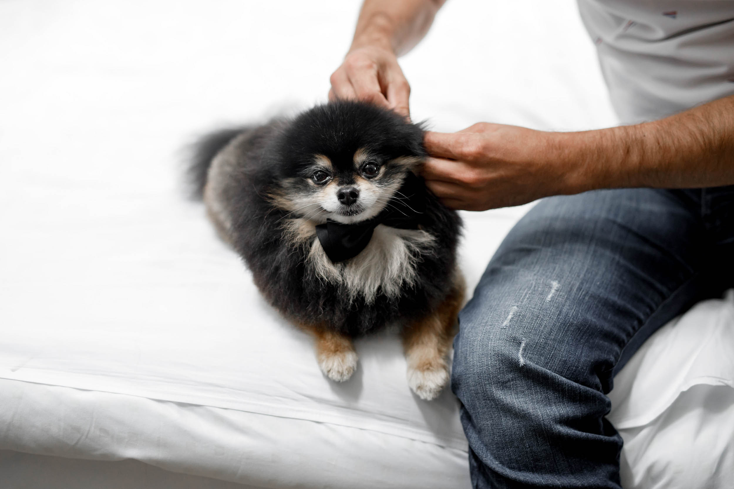 Притяжение любви. Яша и Катя 13 июня 2019. Свадебный организатор в Ростове-на-Дону Яснов Роман