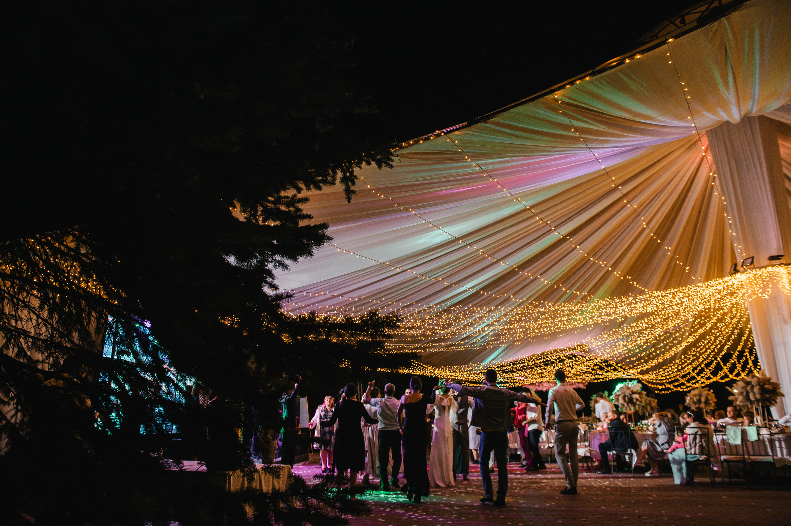 Семен и Анна. Свадебный организатор в Ростове-на-Дону Яснов Роман