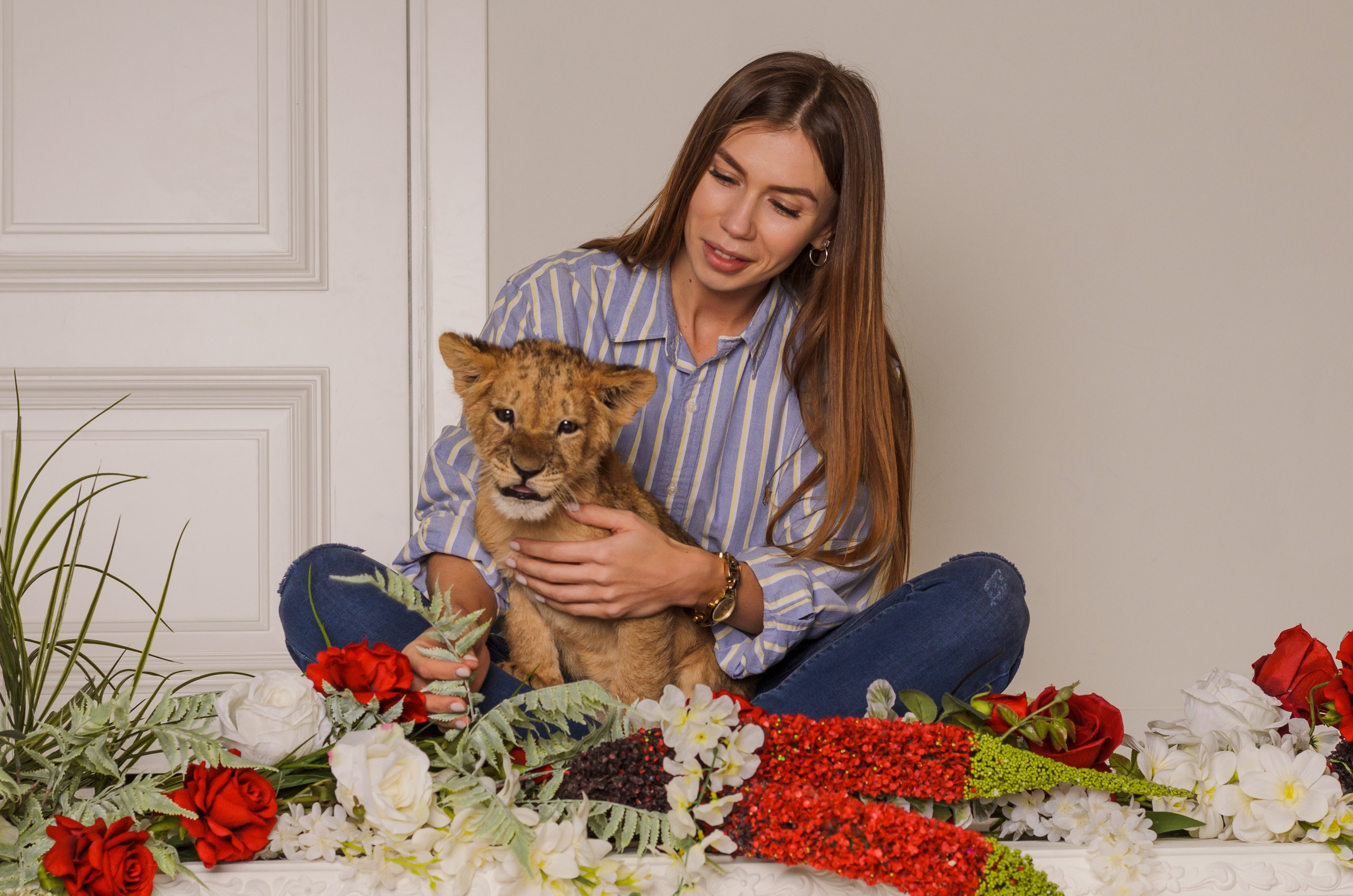 Съёмка со львицей Симоной. Фотограф, ретушёр, графический дизайнер в Петербурге Адрианова Настя