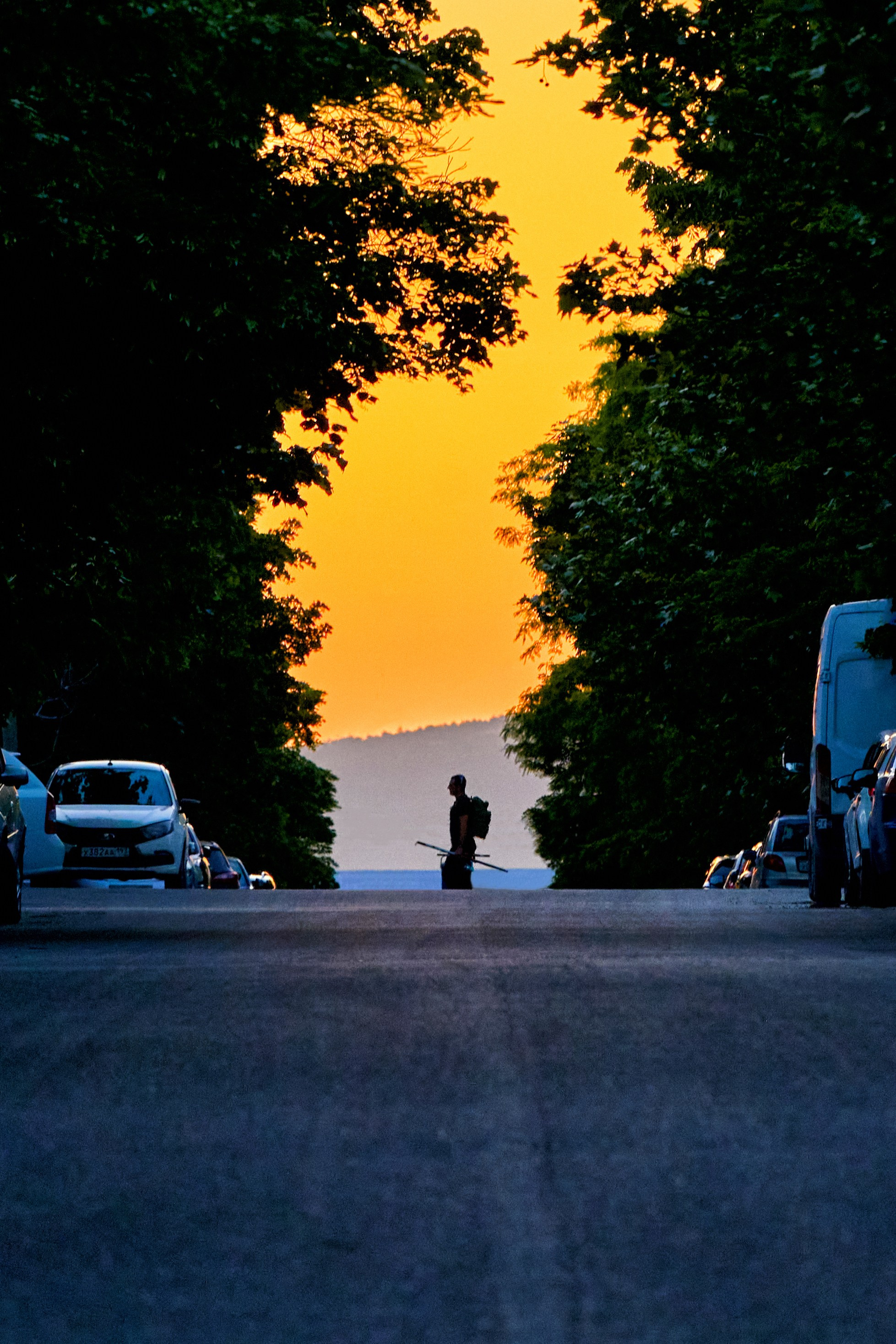 Жизнь, люди, стрит, вокруг, животные, на улице. Яркие фото на Чёрном море